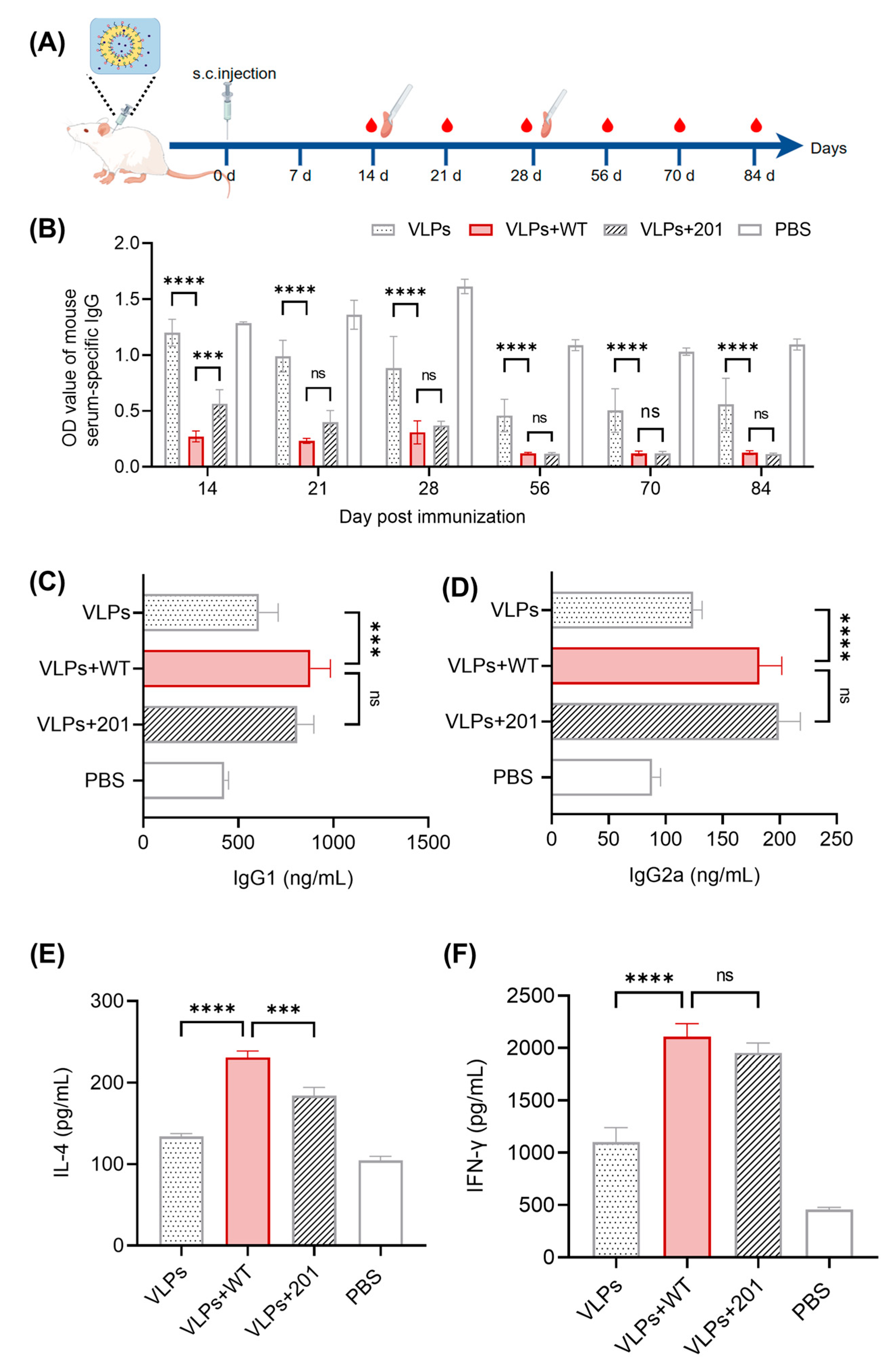 Vaccines 13 00024 g004