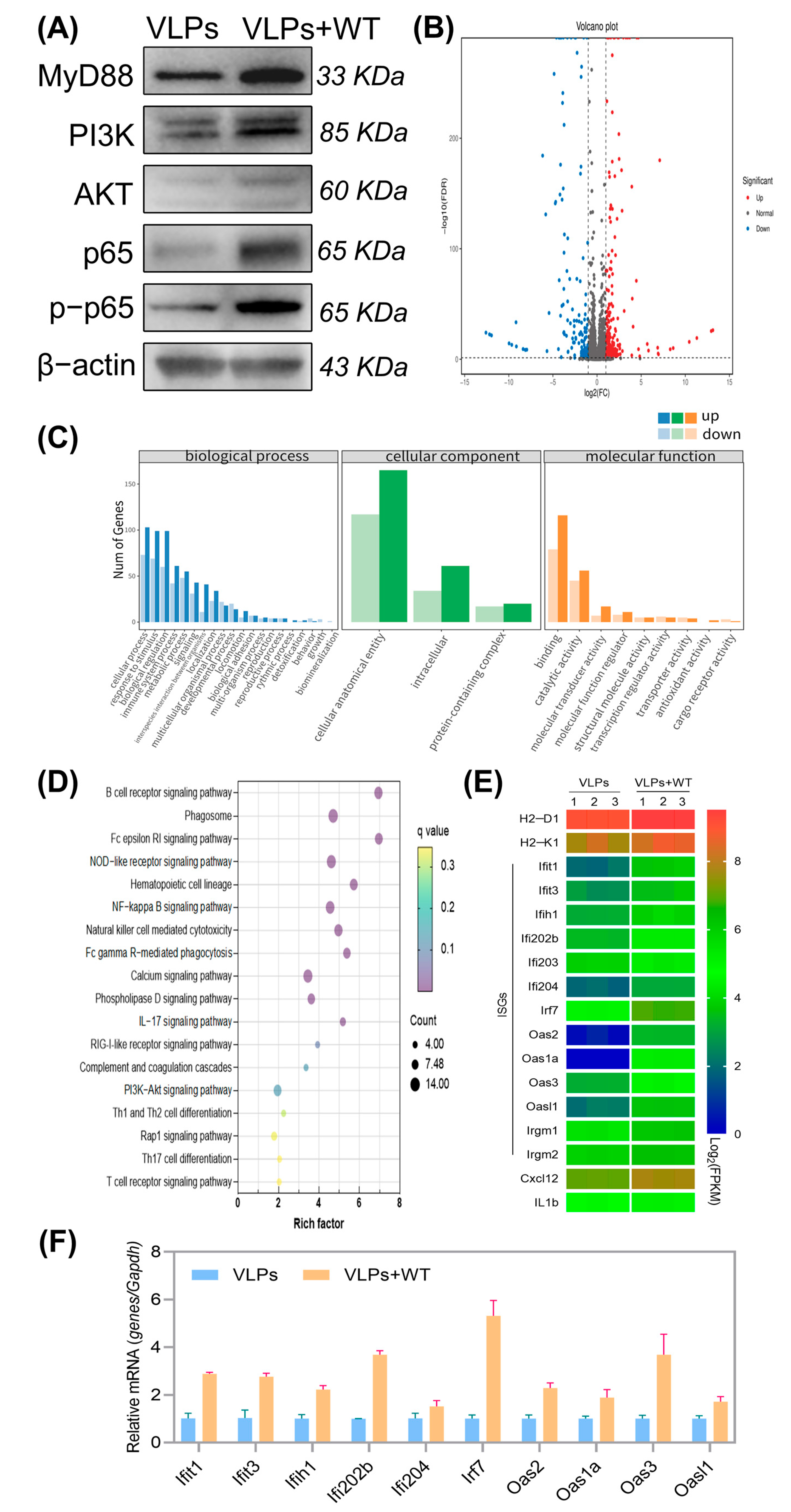 Vaccines 13 00024 g006