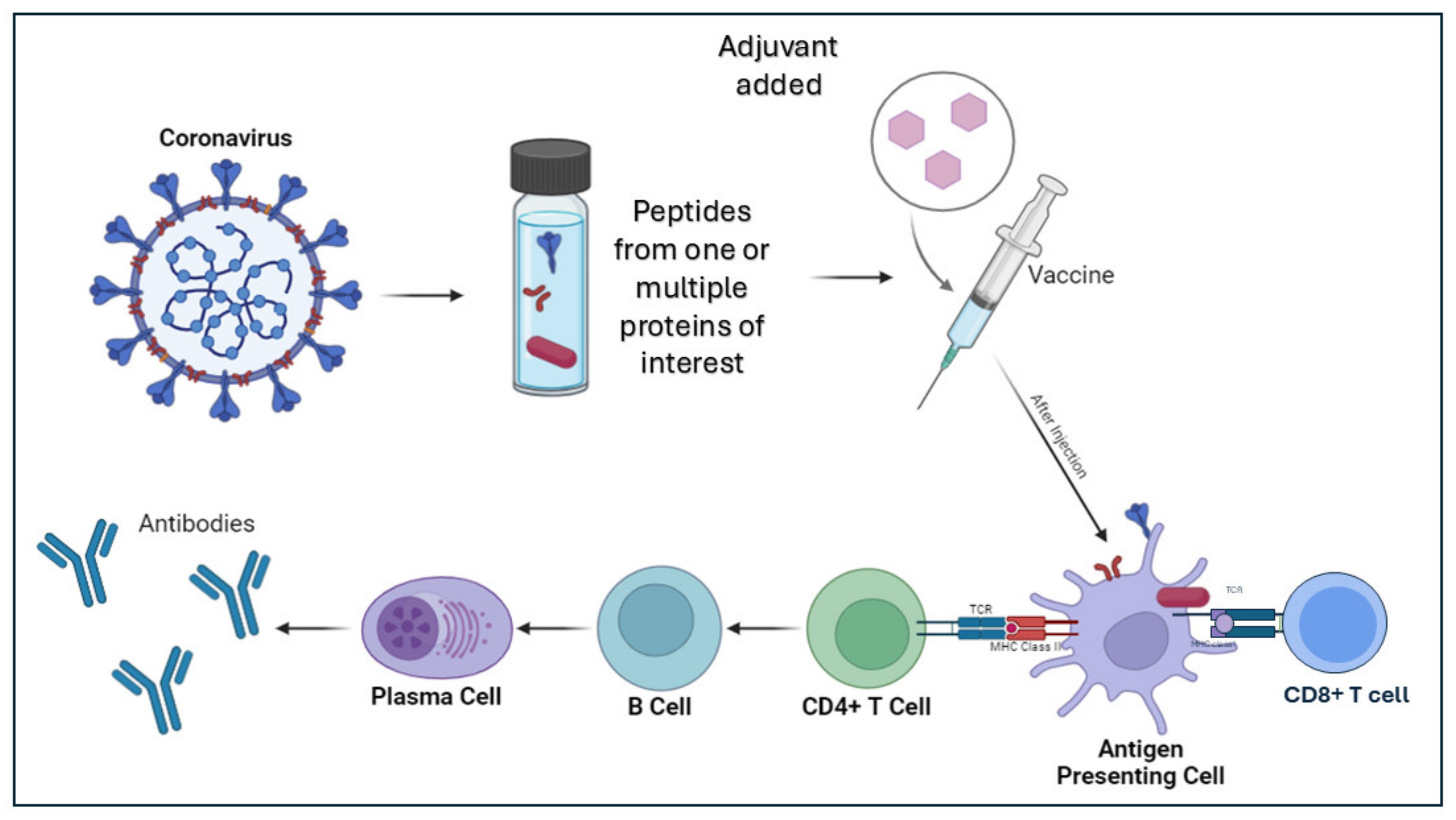 Vaccines 13 00030 g001