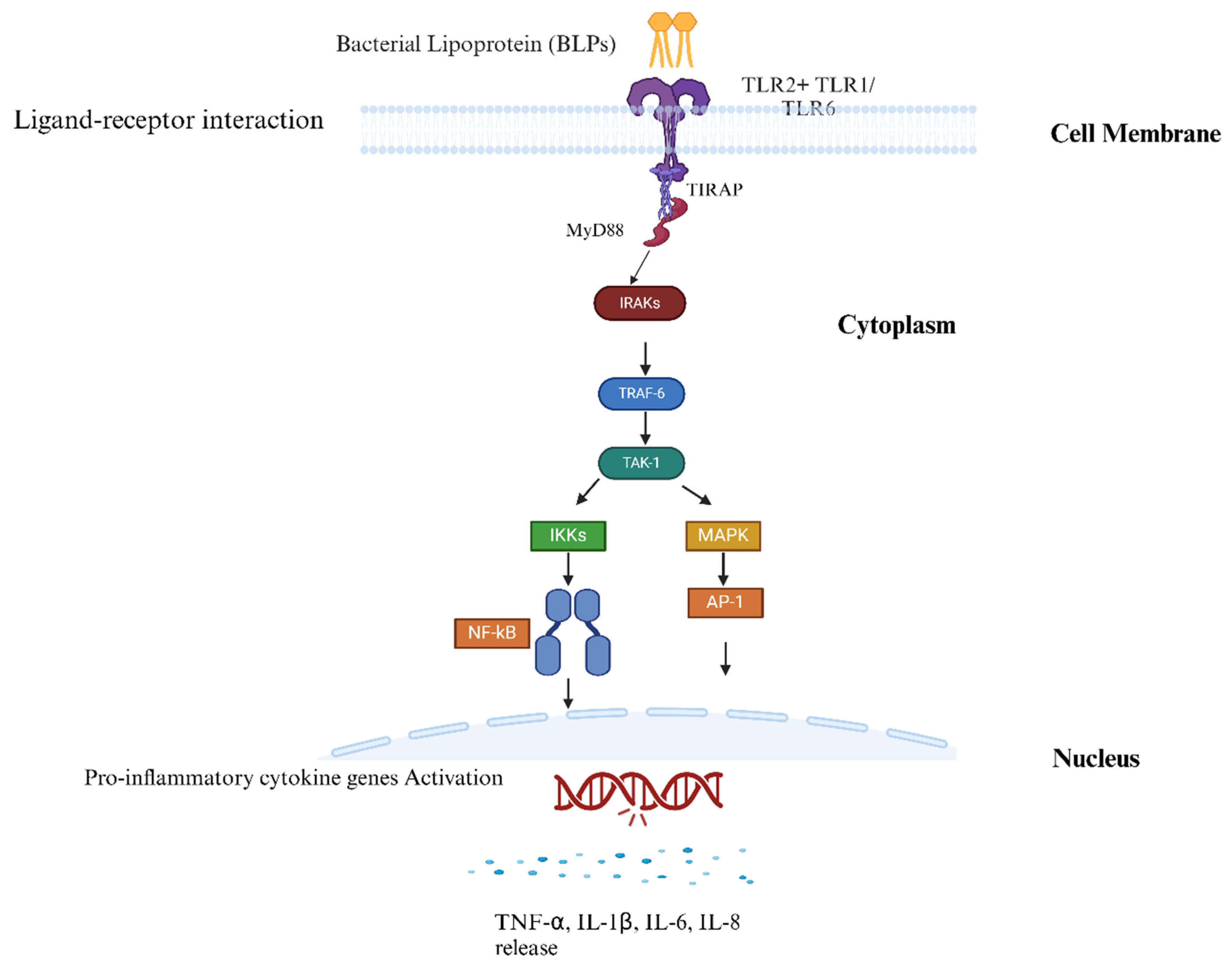 Vaccines 13 00036 g003