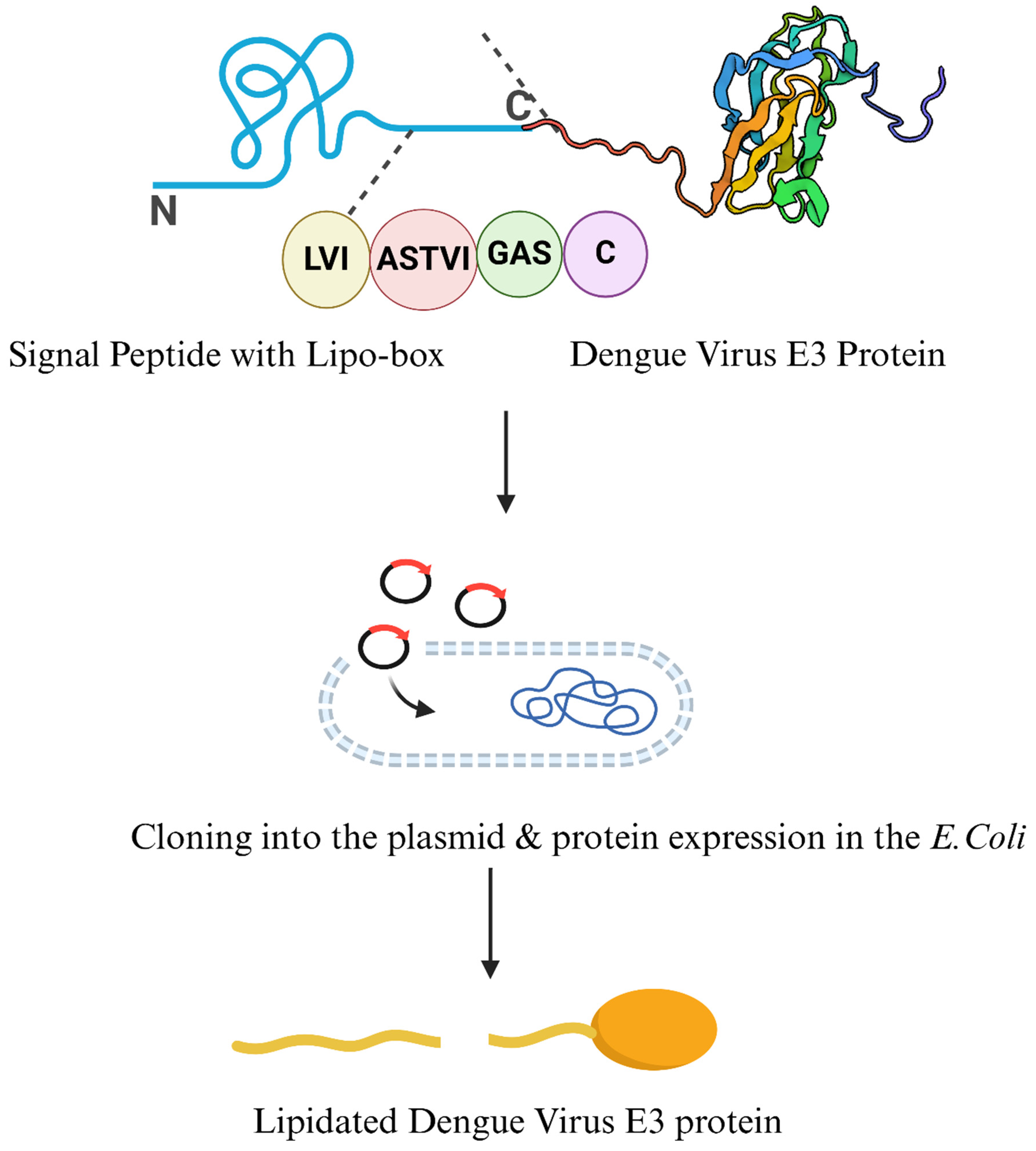 Vaccines 13 00036 g005