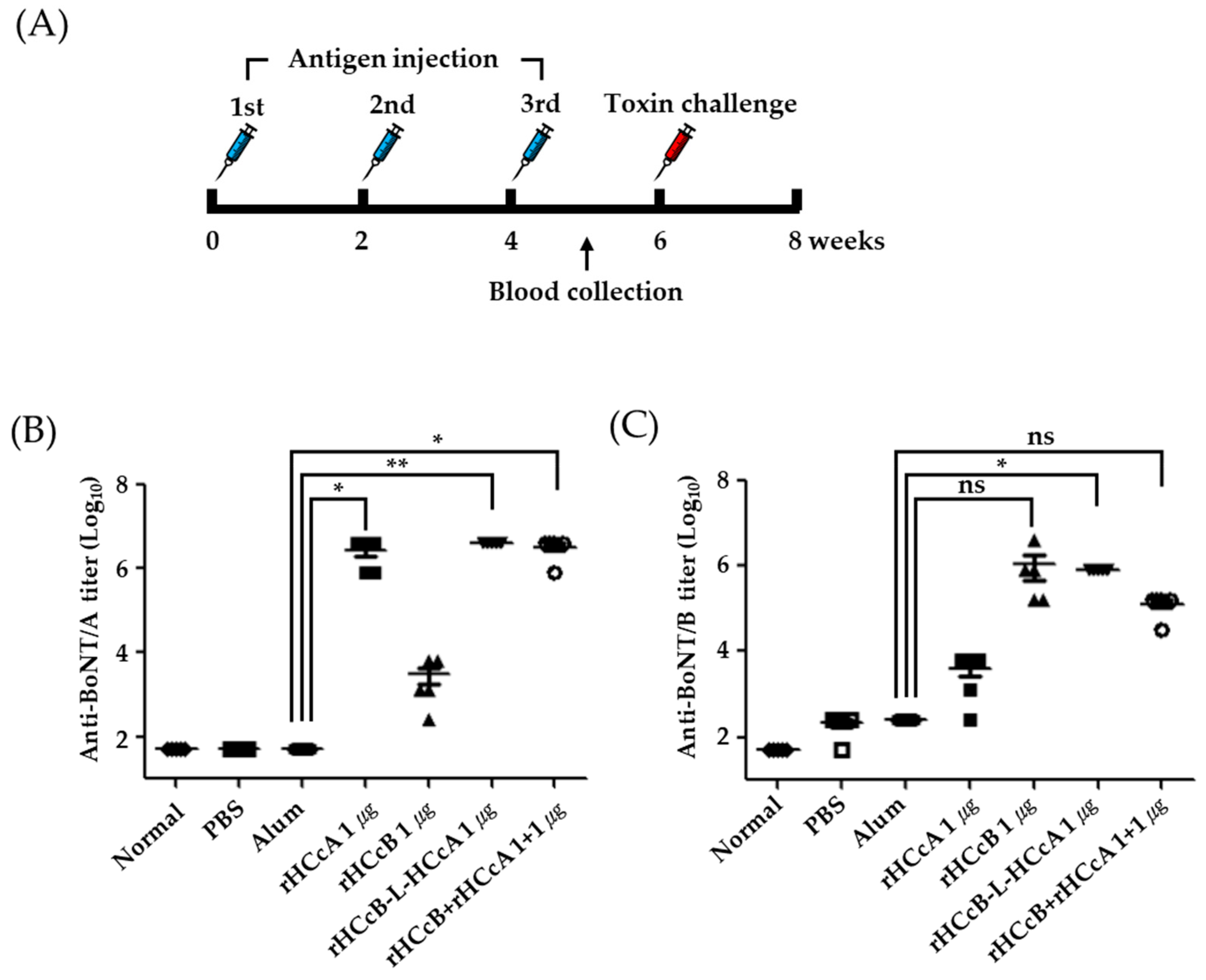 Vaccines 13 00039 g003