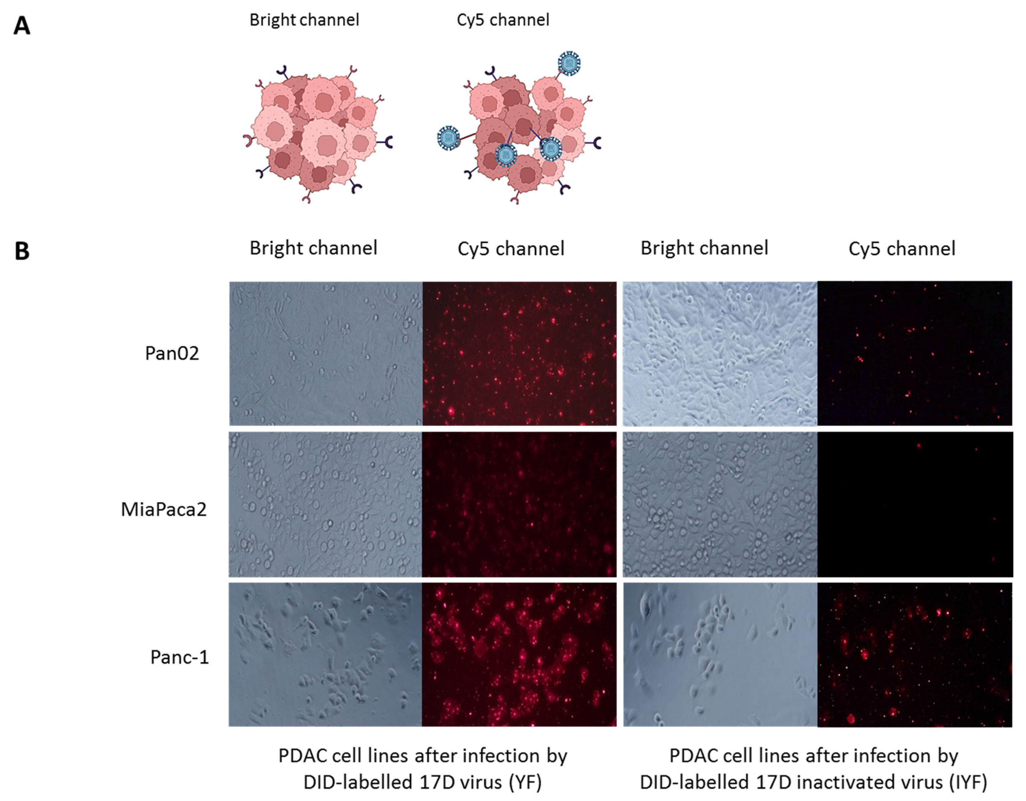 Vaccines 13 00040 g003