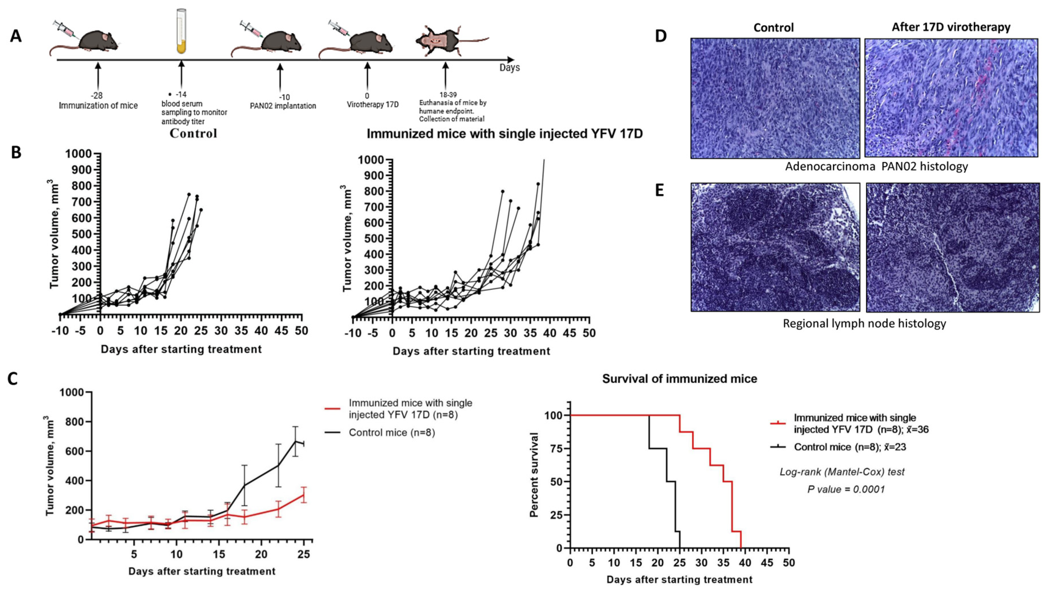 Vaccines 13 00040 g005