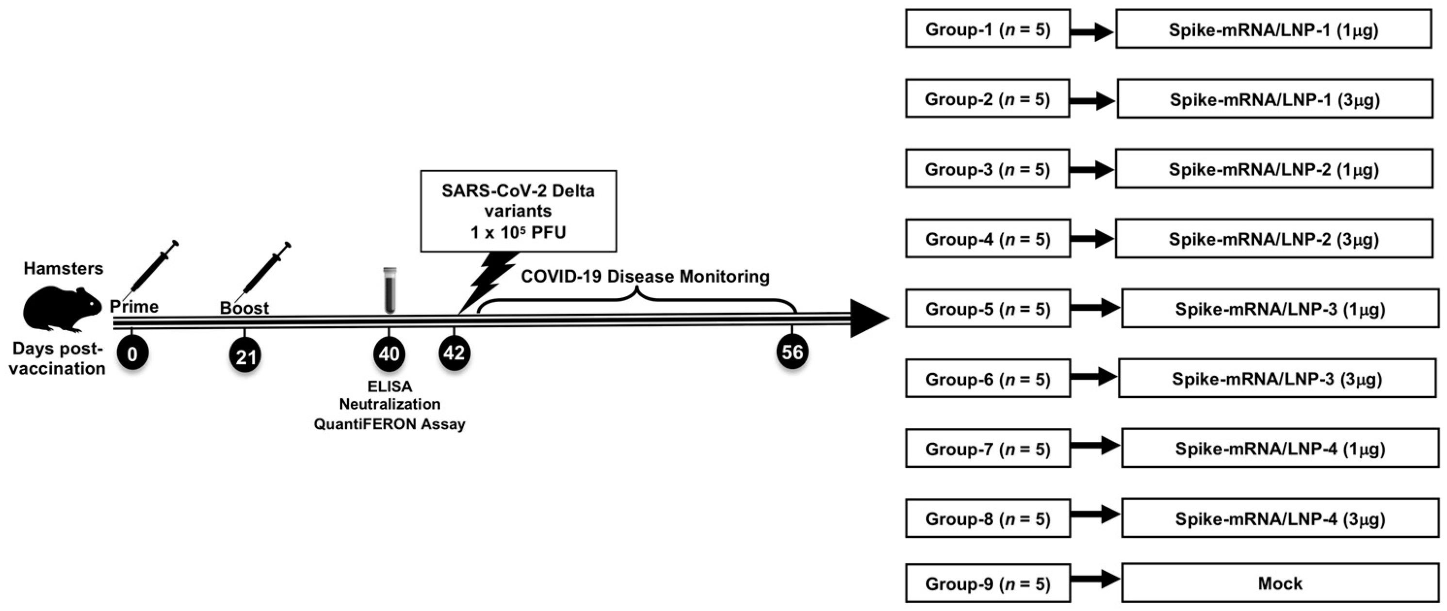 Vaccines 13 00047 g002
