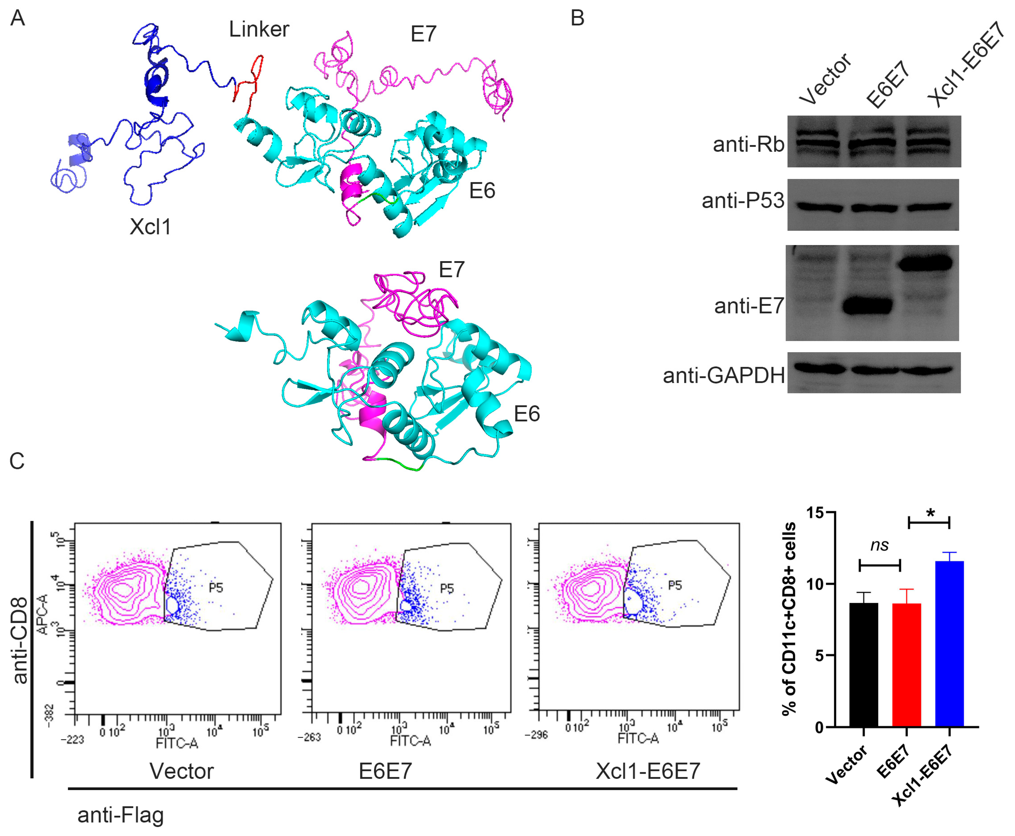 Vaccines 13 00049 g001