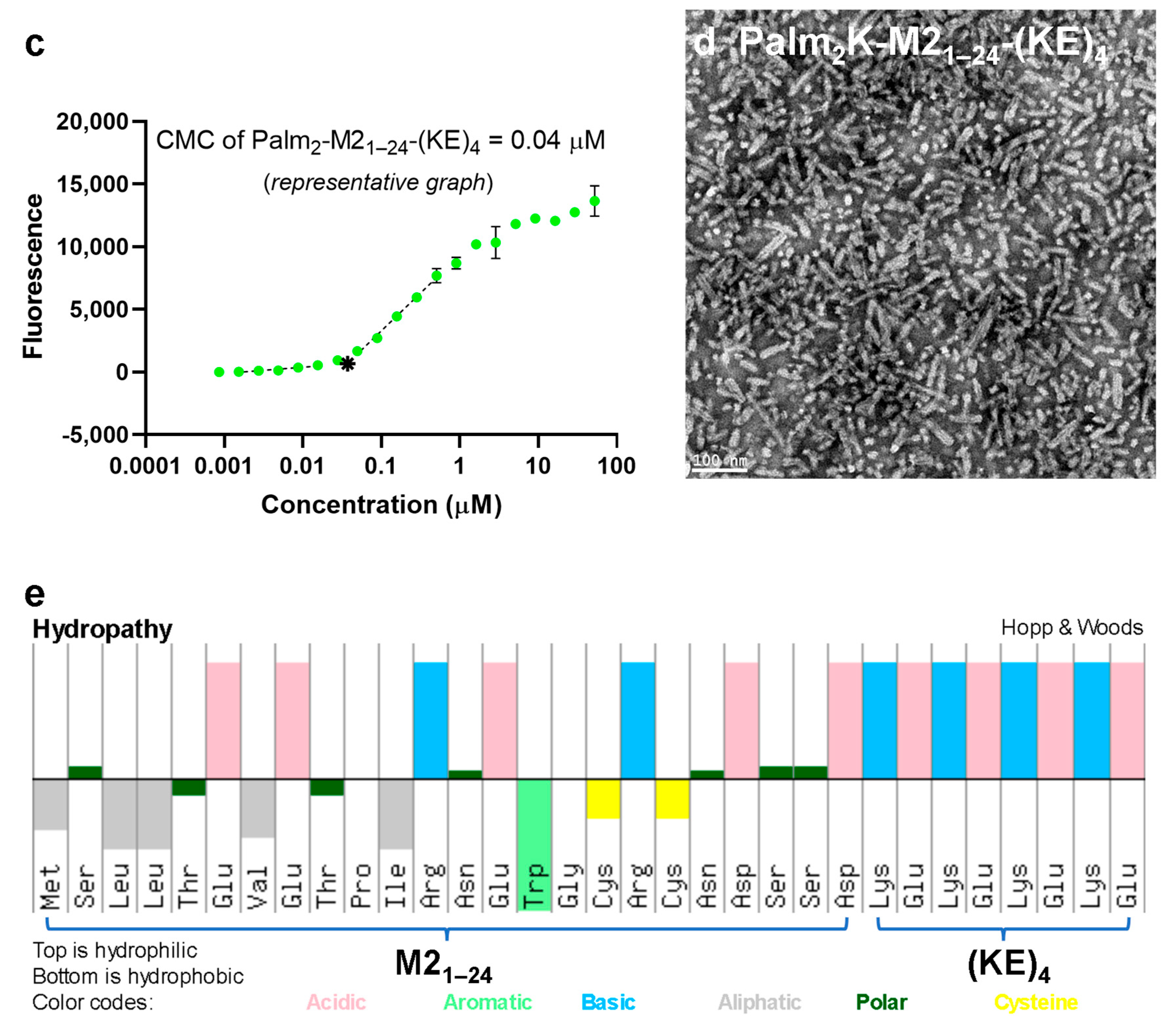 Vaccines 13 00051 g001b