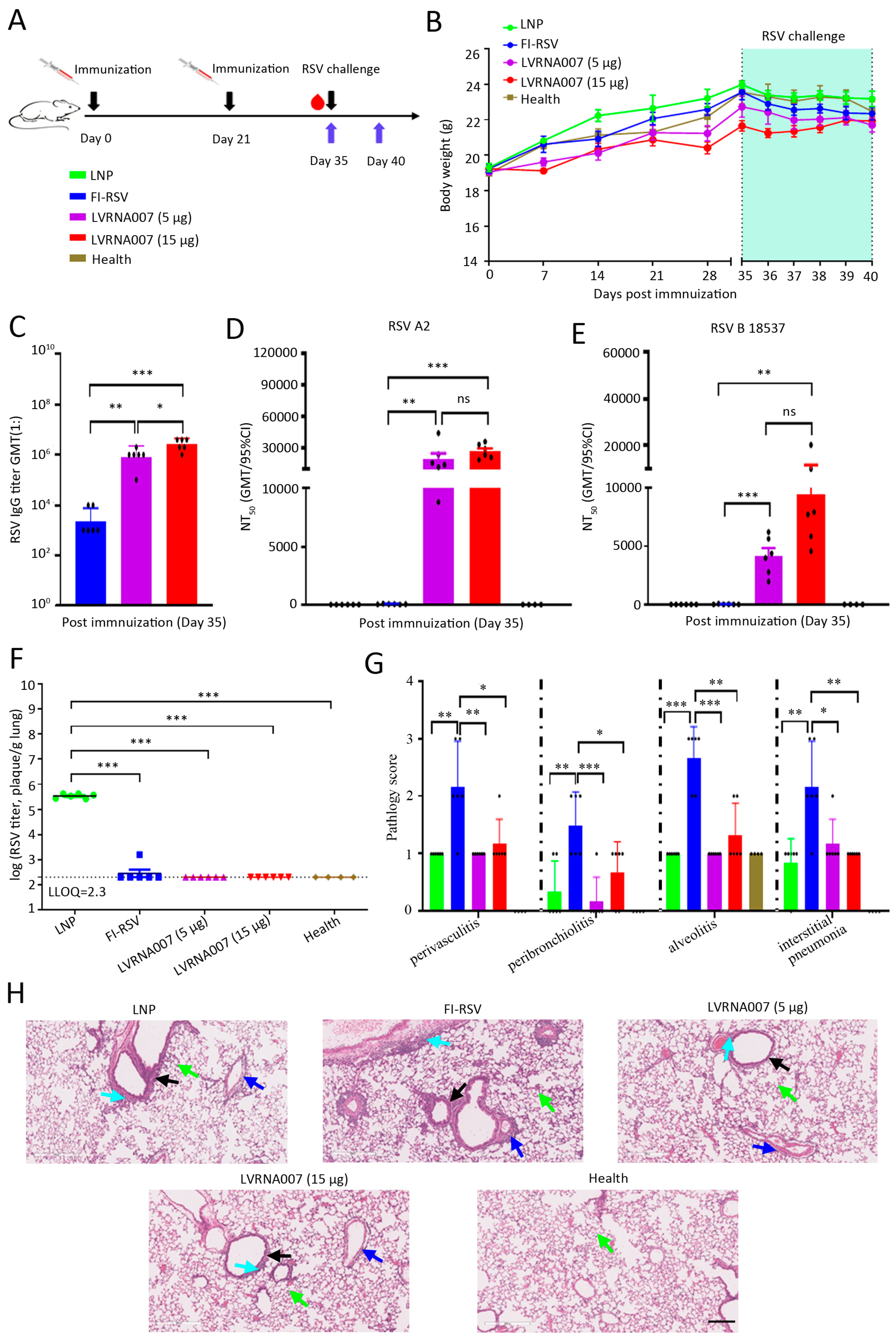 Vaccines 13 00052 g003