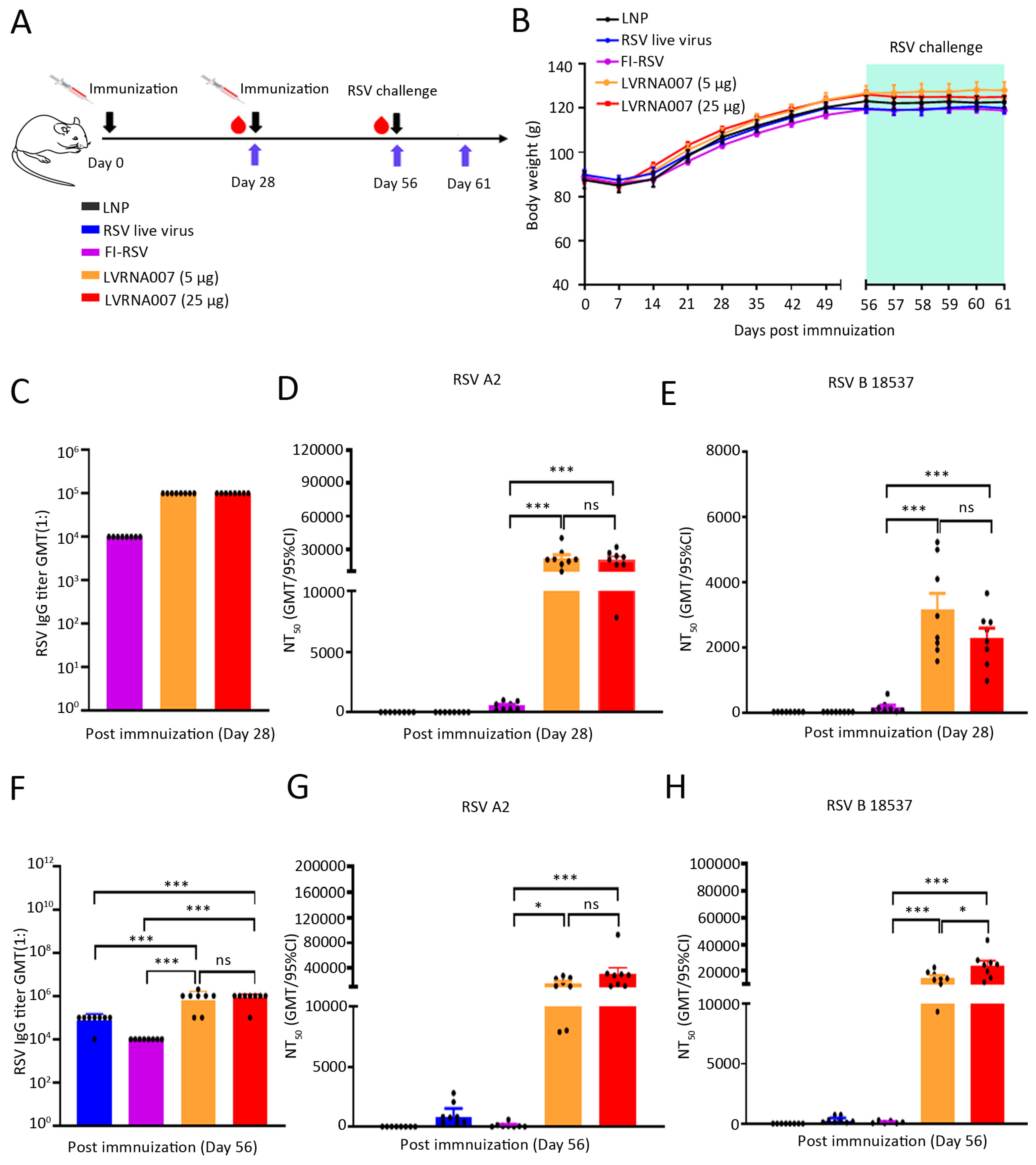 Vaccines 13 00052 g004