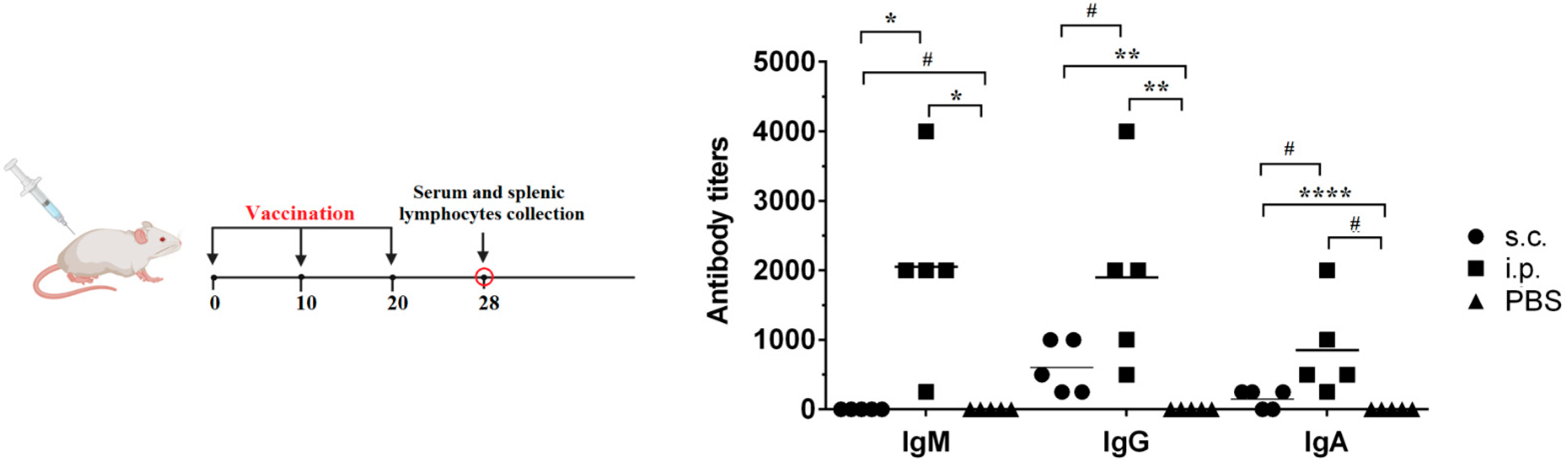 Vaccines 13 00059 g003
