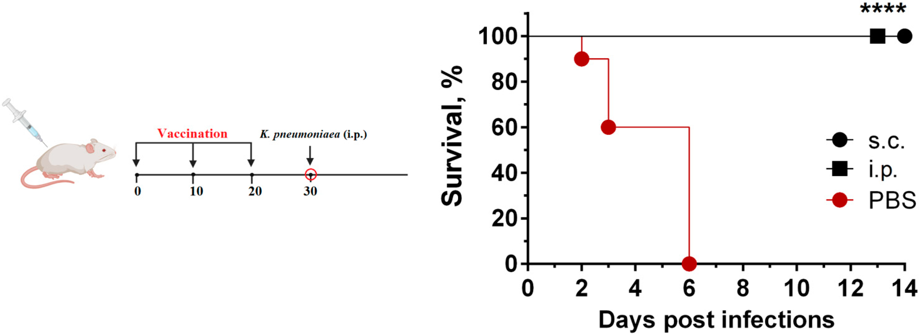Vaccines 13 00059 g006