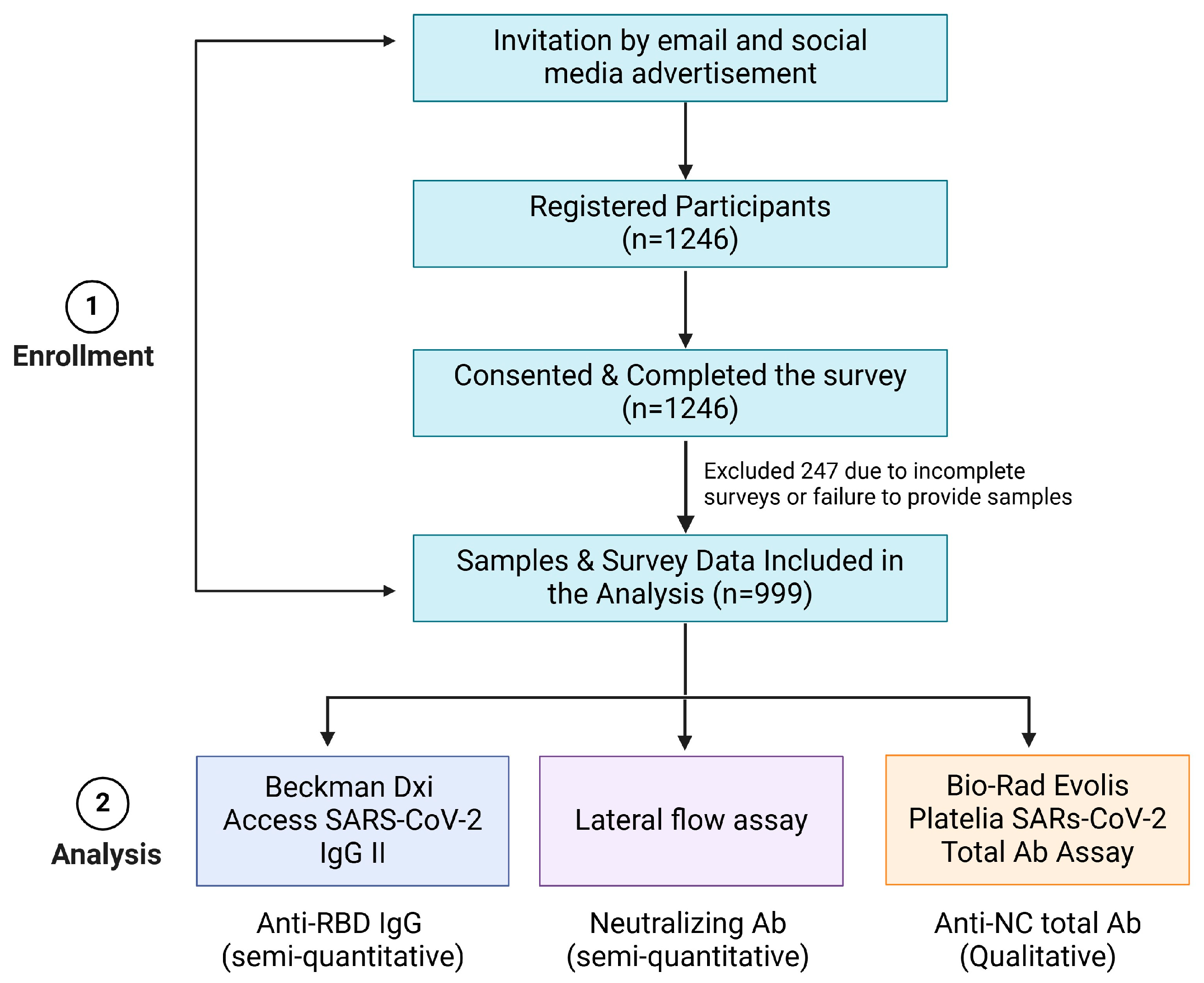 Vaccines 13 00061 g001