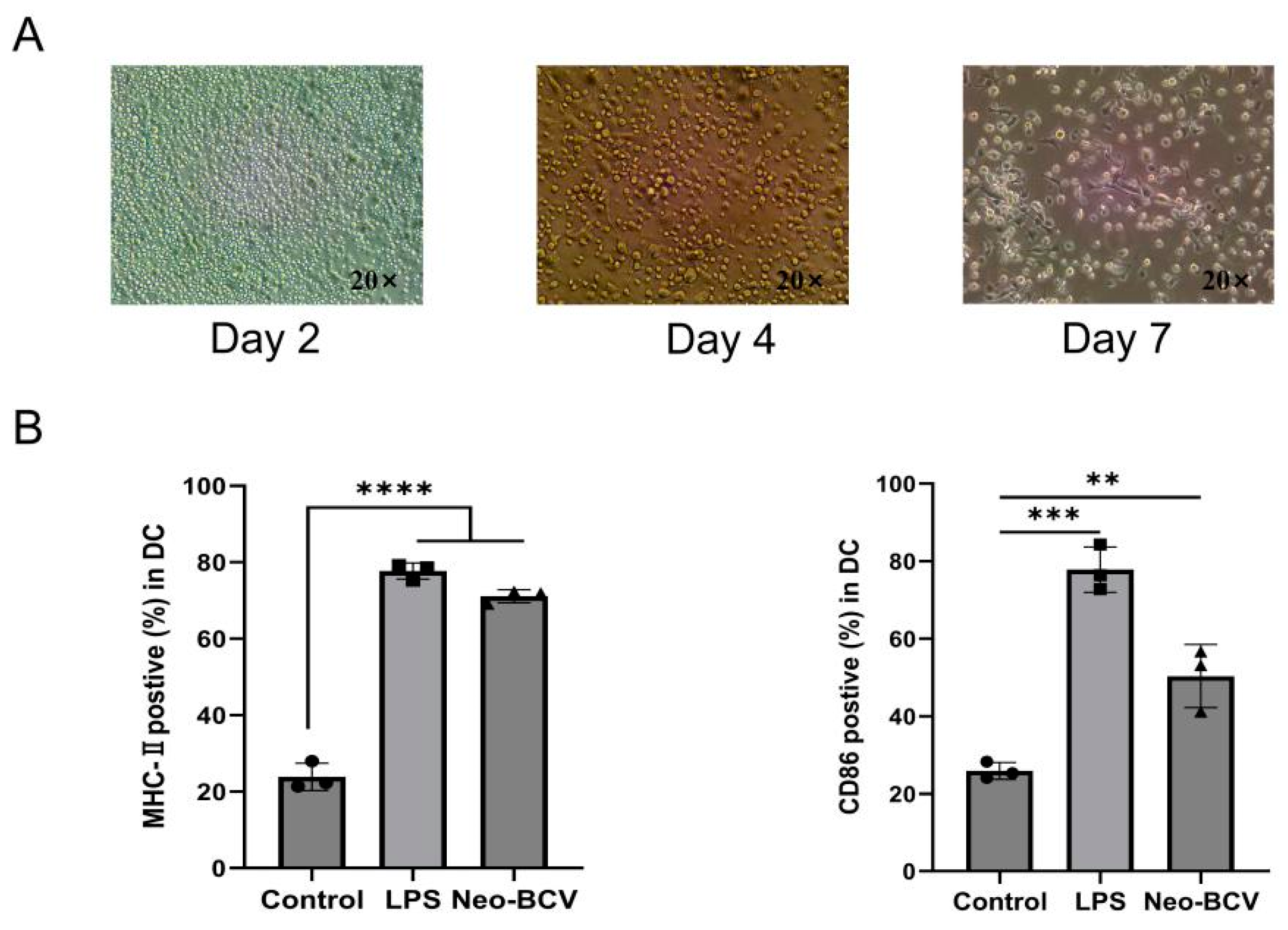 Vaccines 13 00064 g001