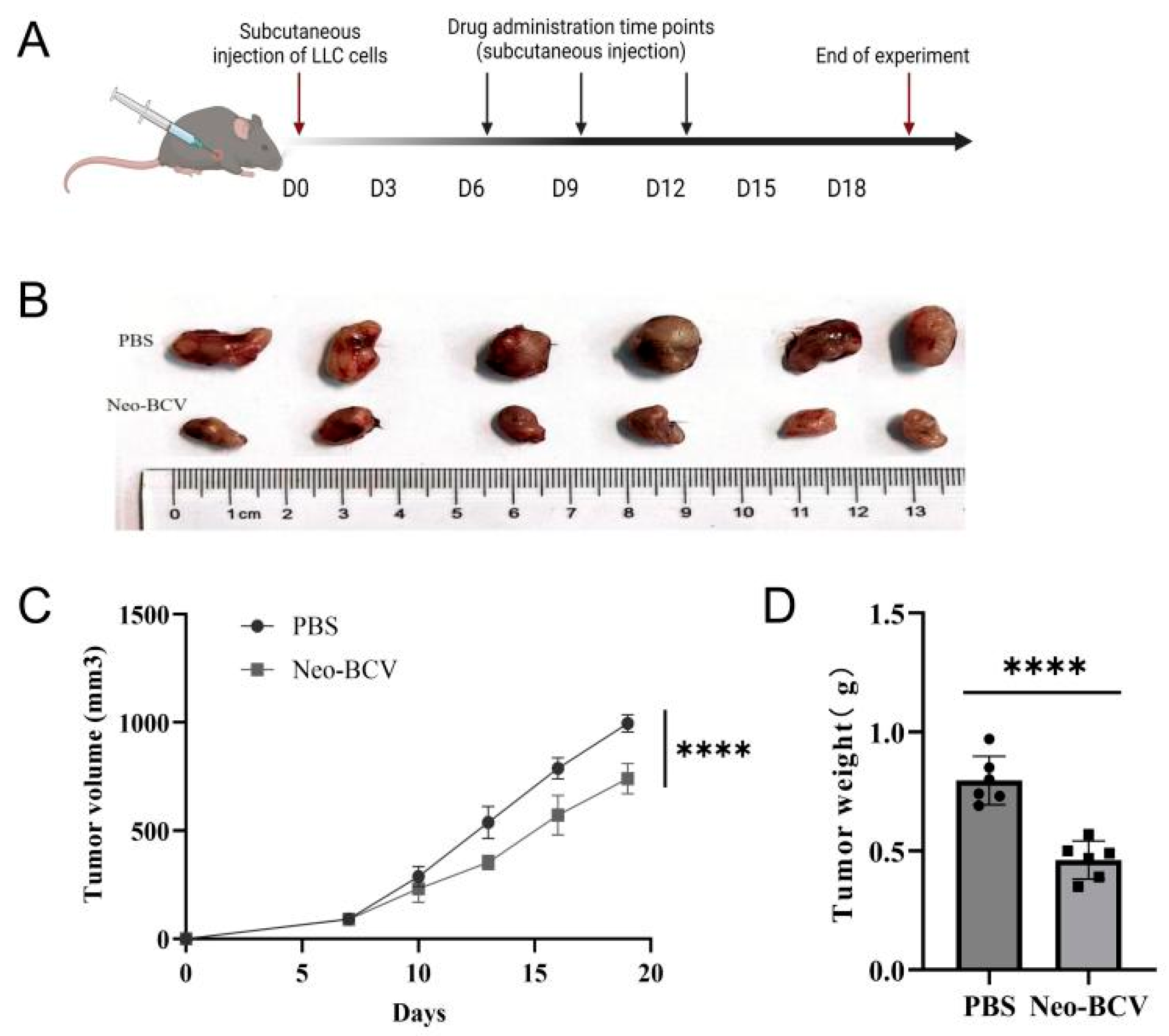 Vaccines 13 00064 g002