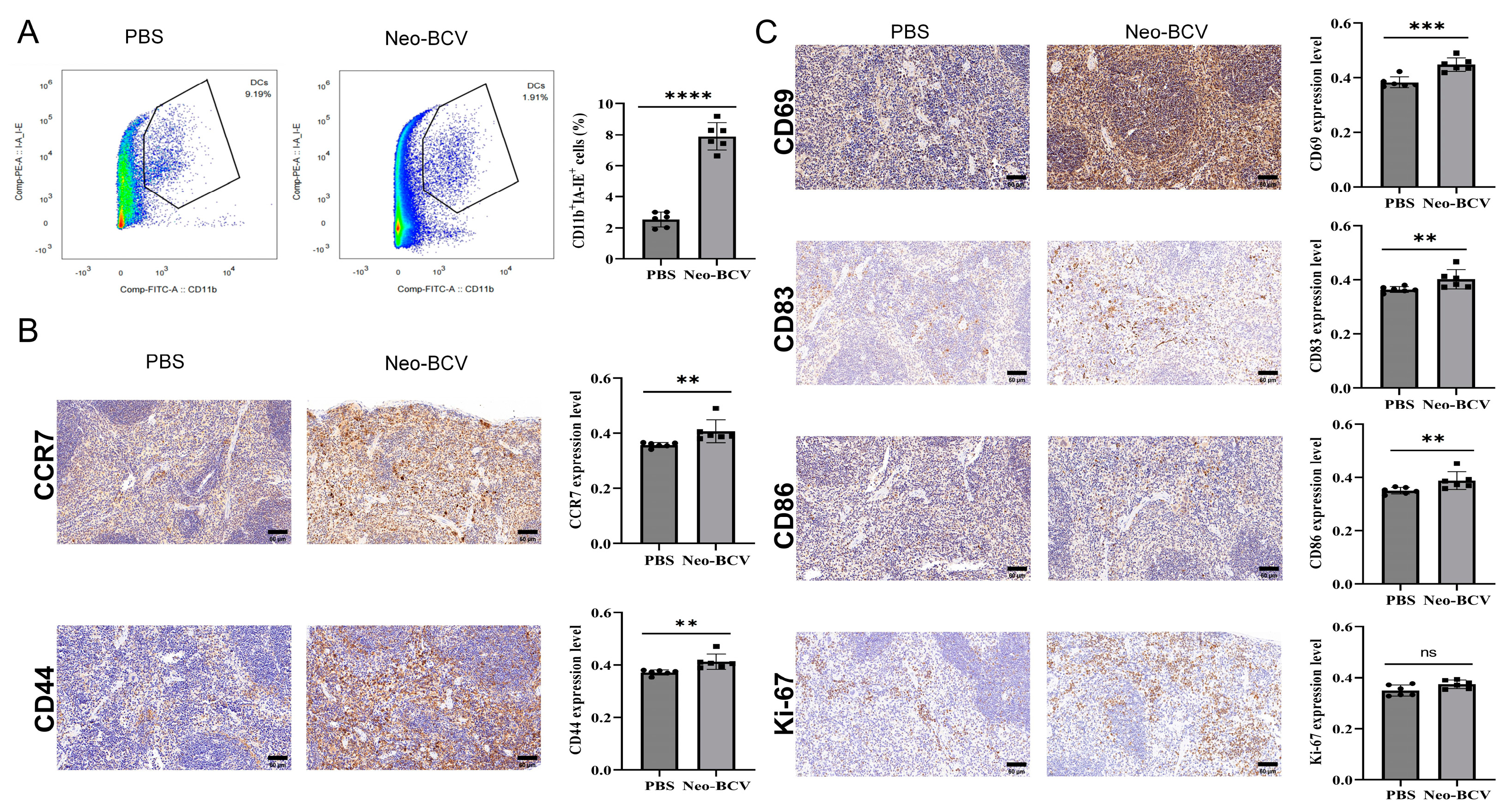 Vaccines 13 00064 g004