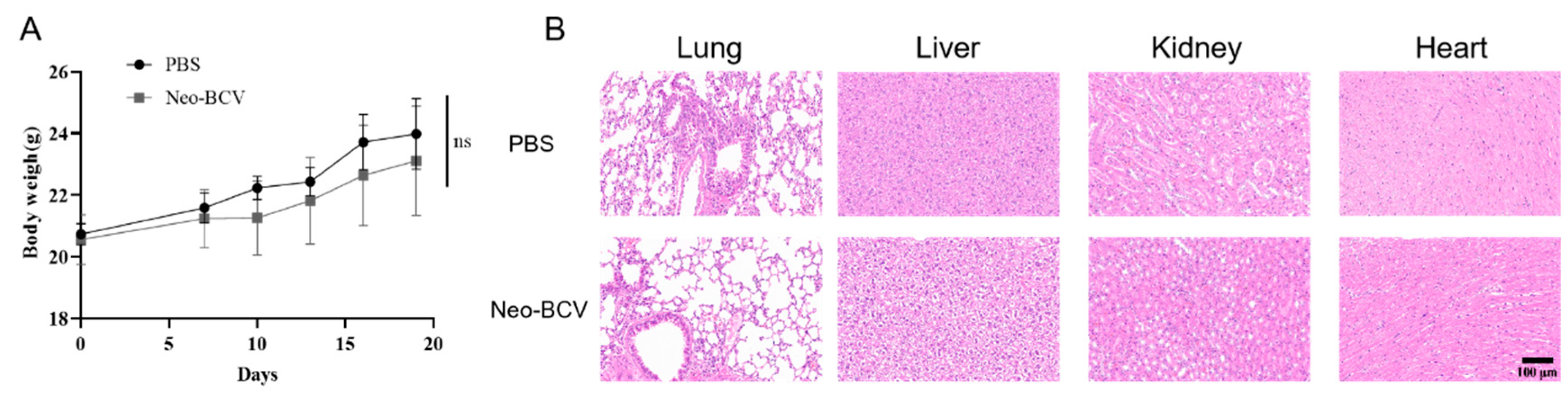 Vaccines 13 00064 g006