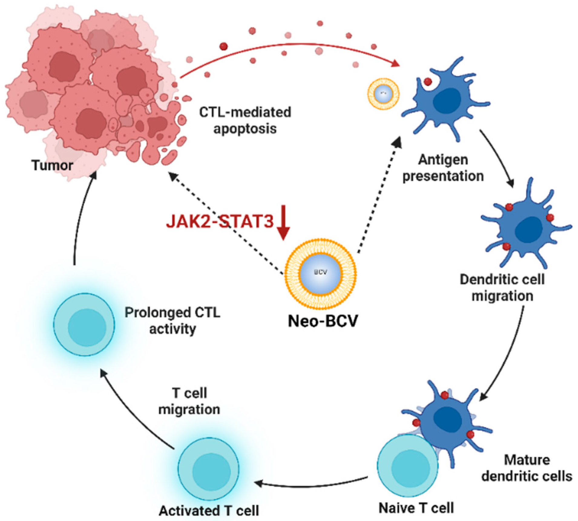 Vaccines 13 00064 g007