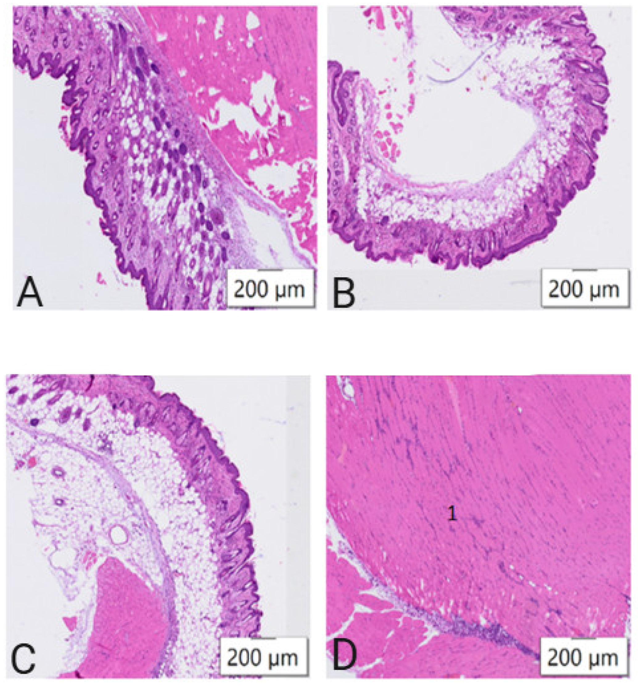 Vaccines 13 00065 g001