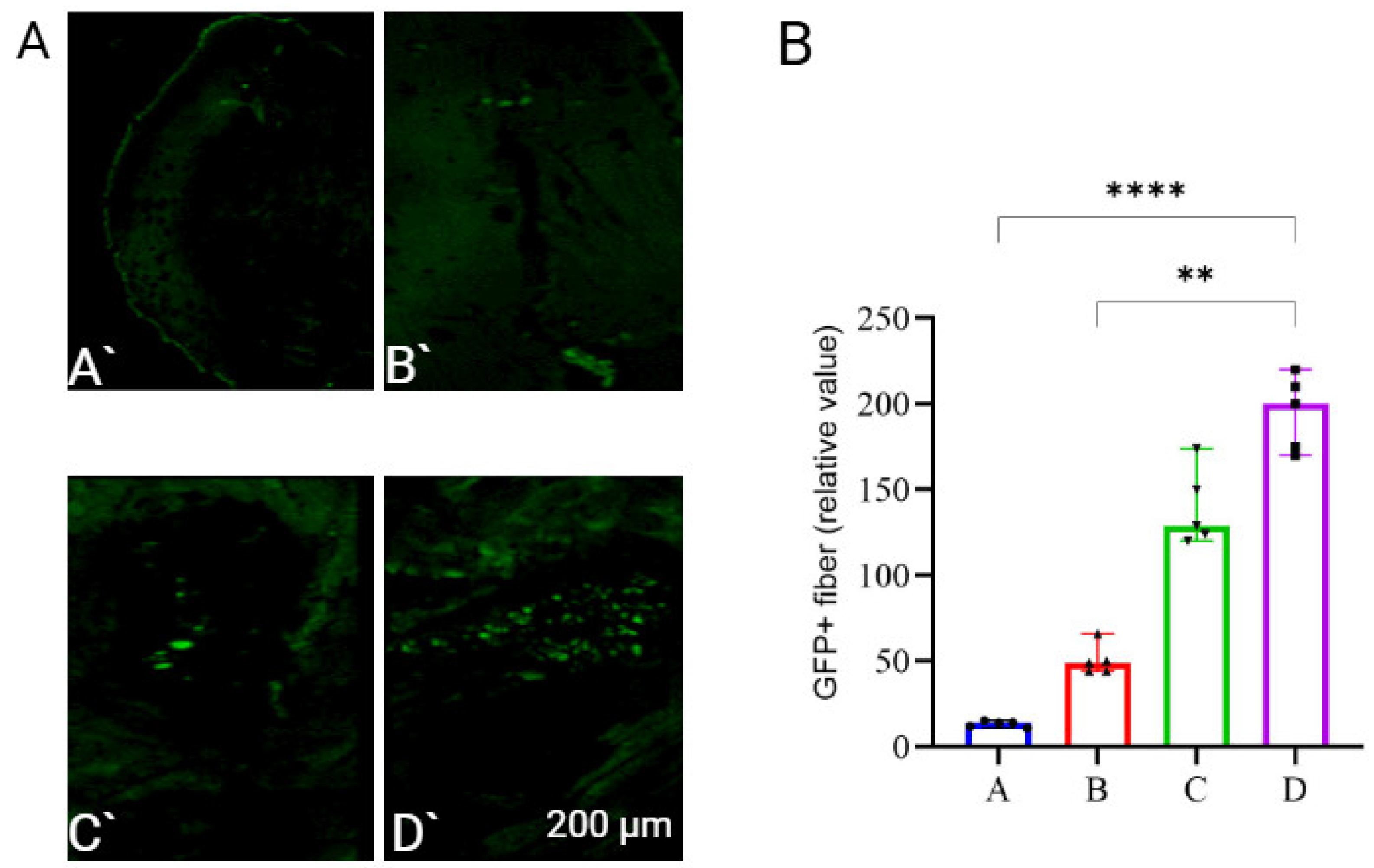 Vaccines 13 00065 g002