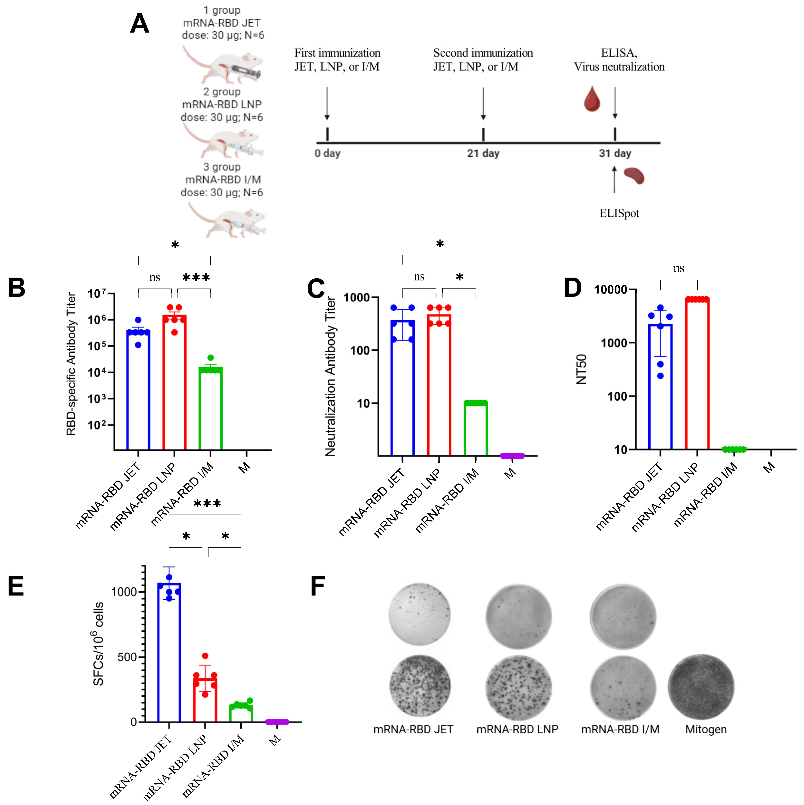 Vaccines 13 00065 g004