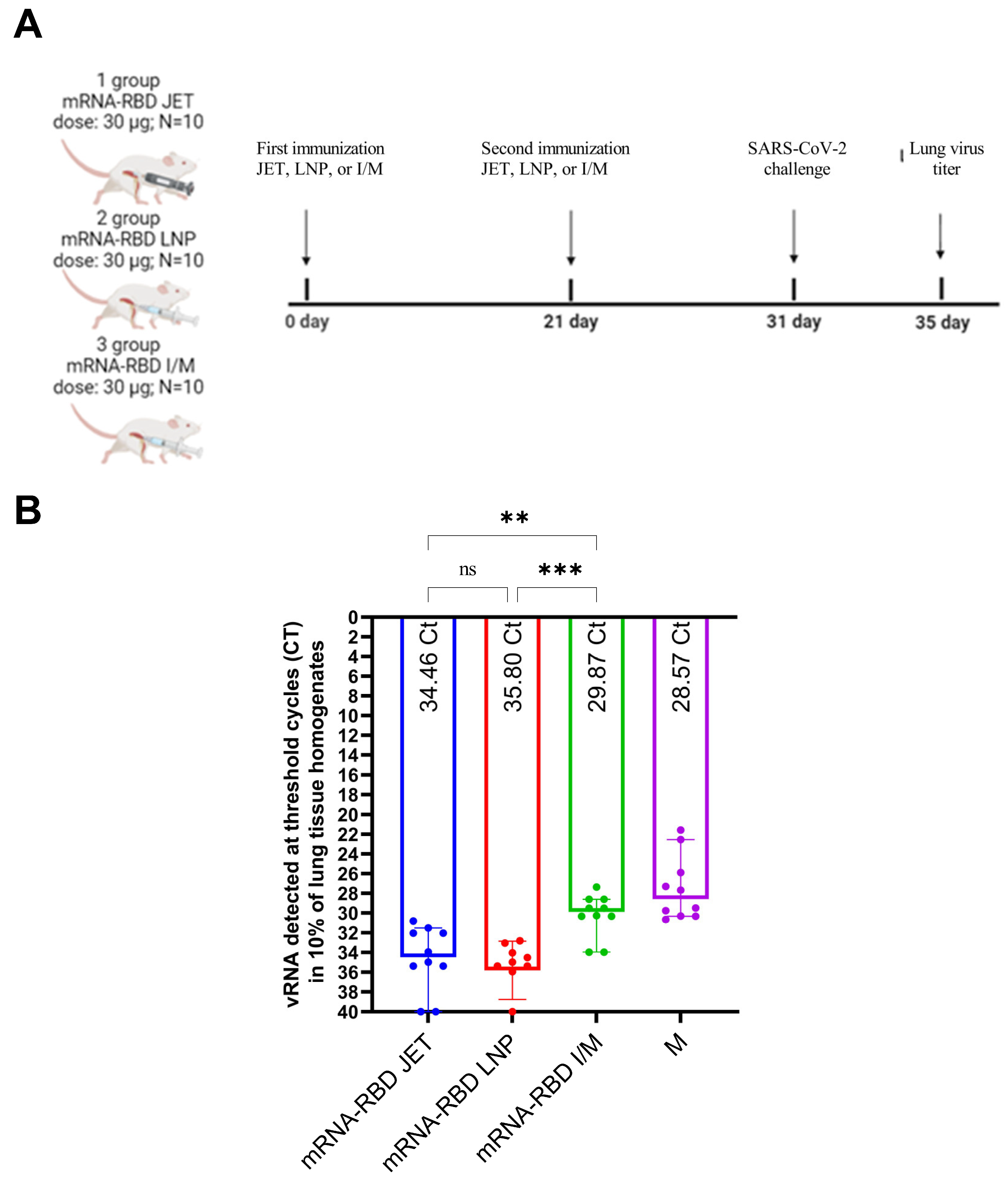 Vaccines 13 00065 g005