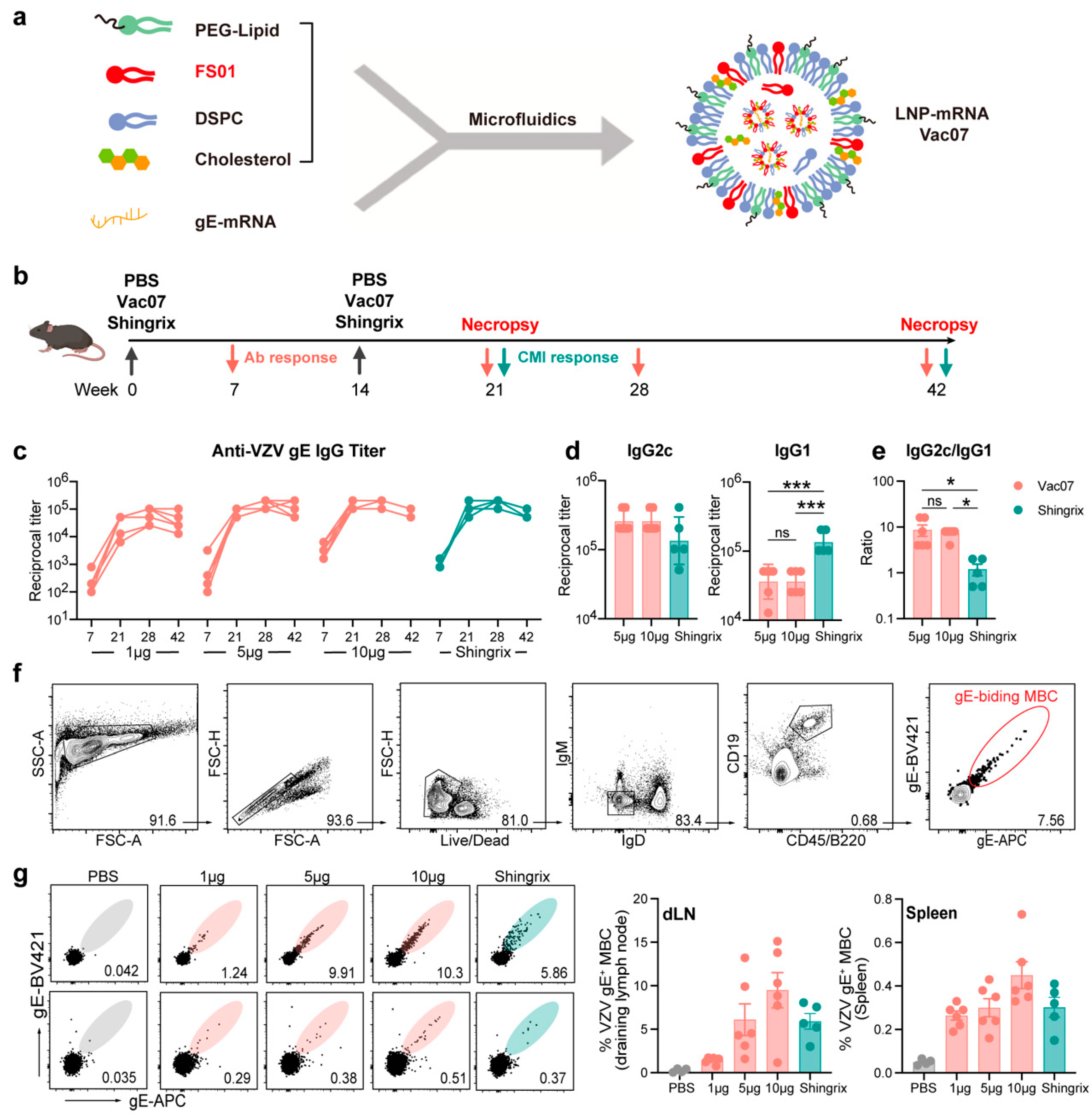 Vaccines 13 00068 g002