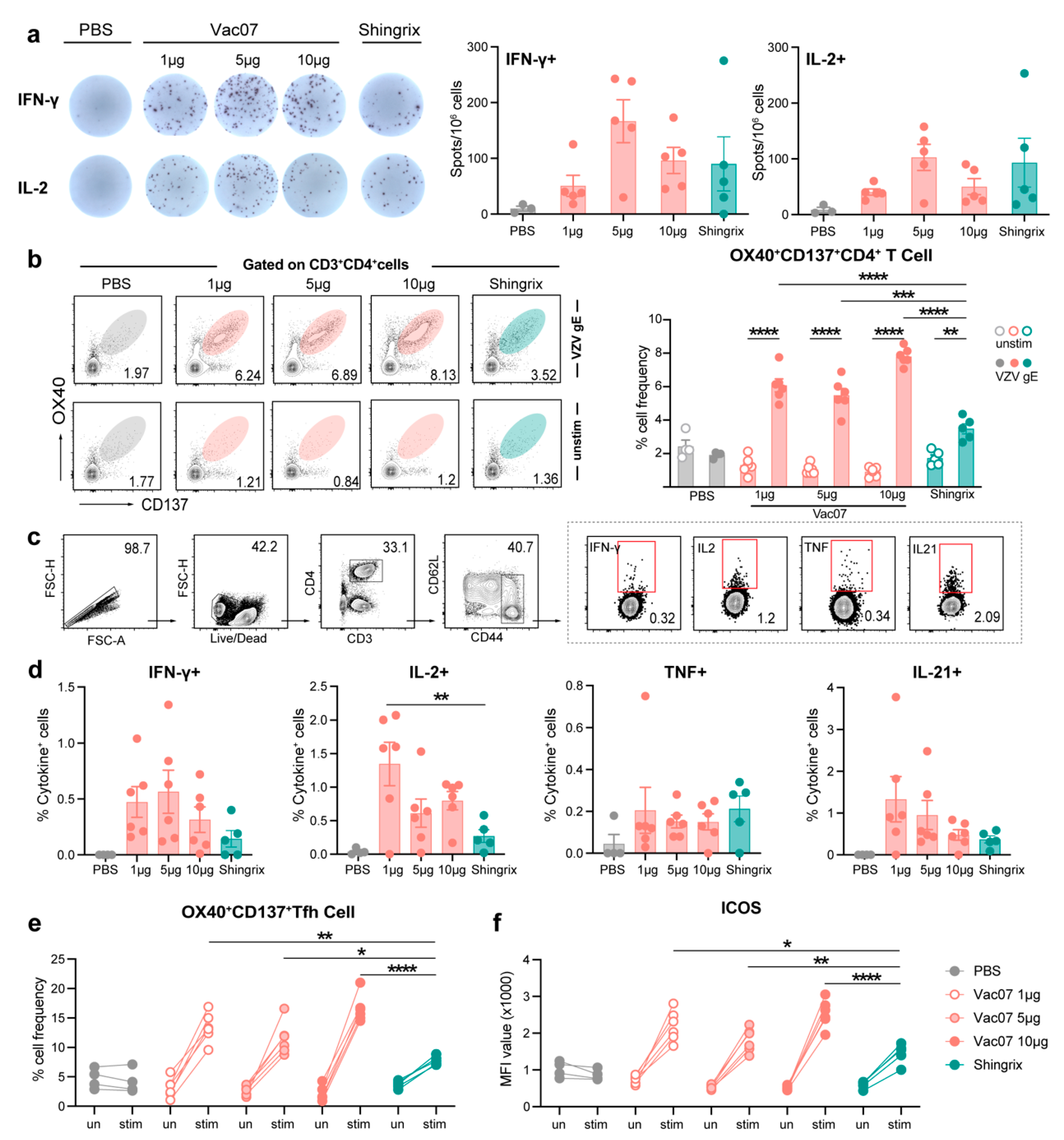 Vaccines 13 00068 g003