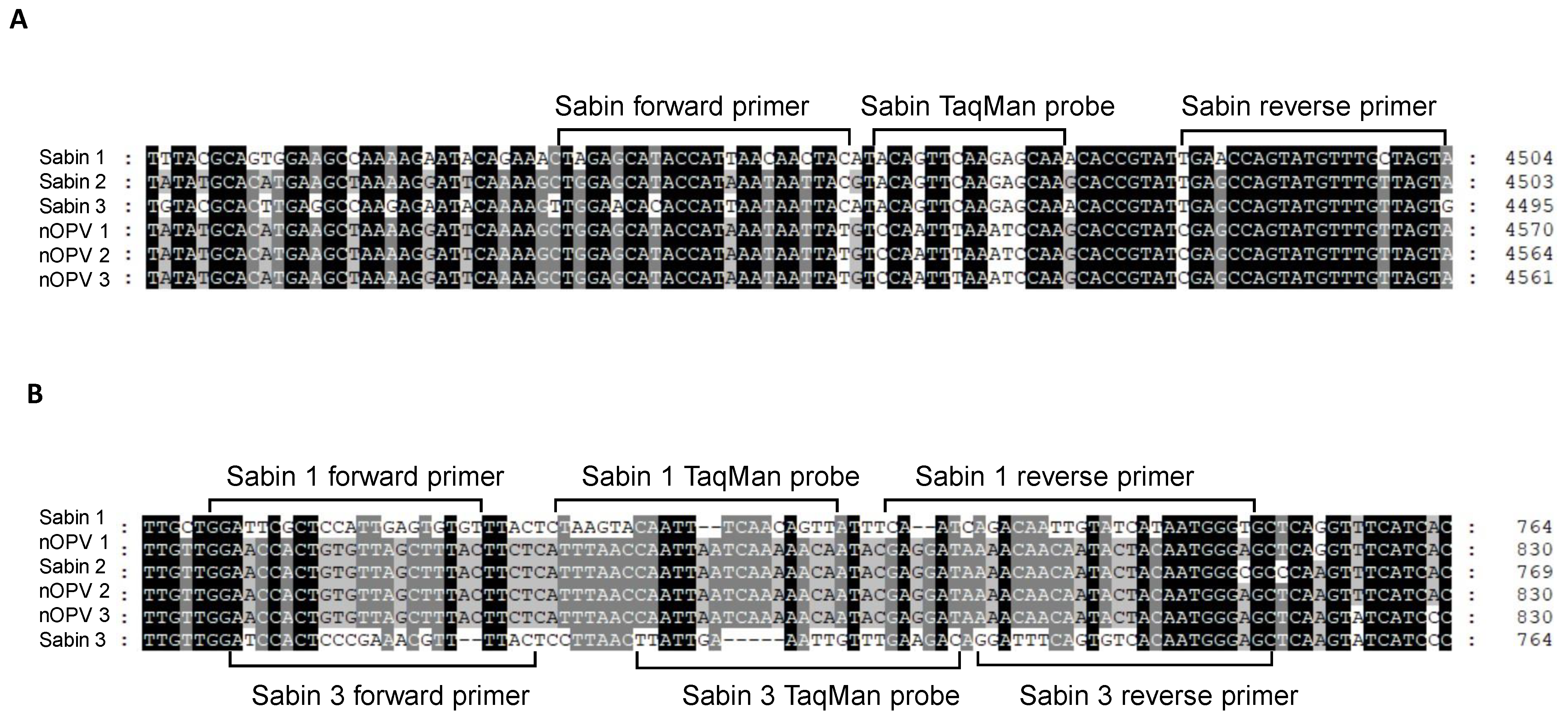 Vaccines 13 00075 g001 Vaccines 13 00075 g001
