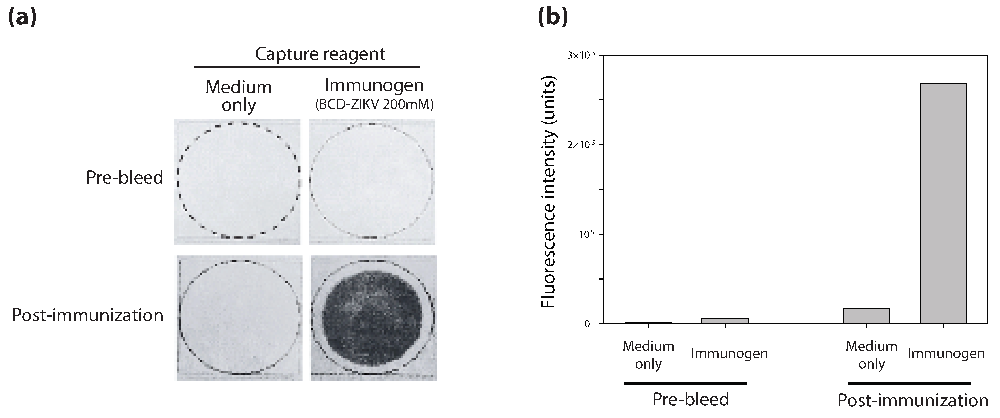 Vaccines 13 00079 g005