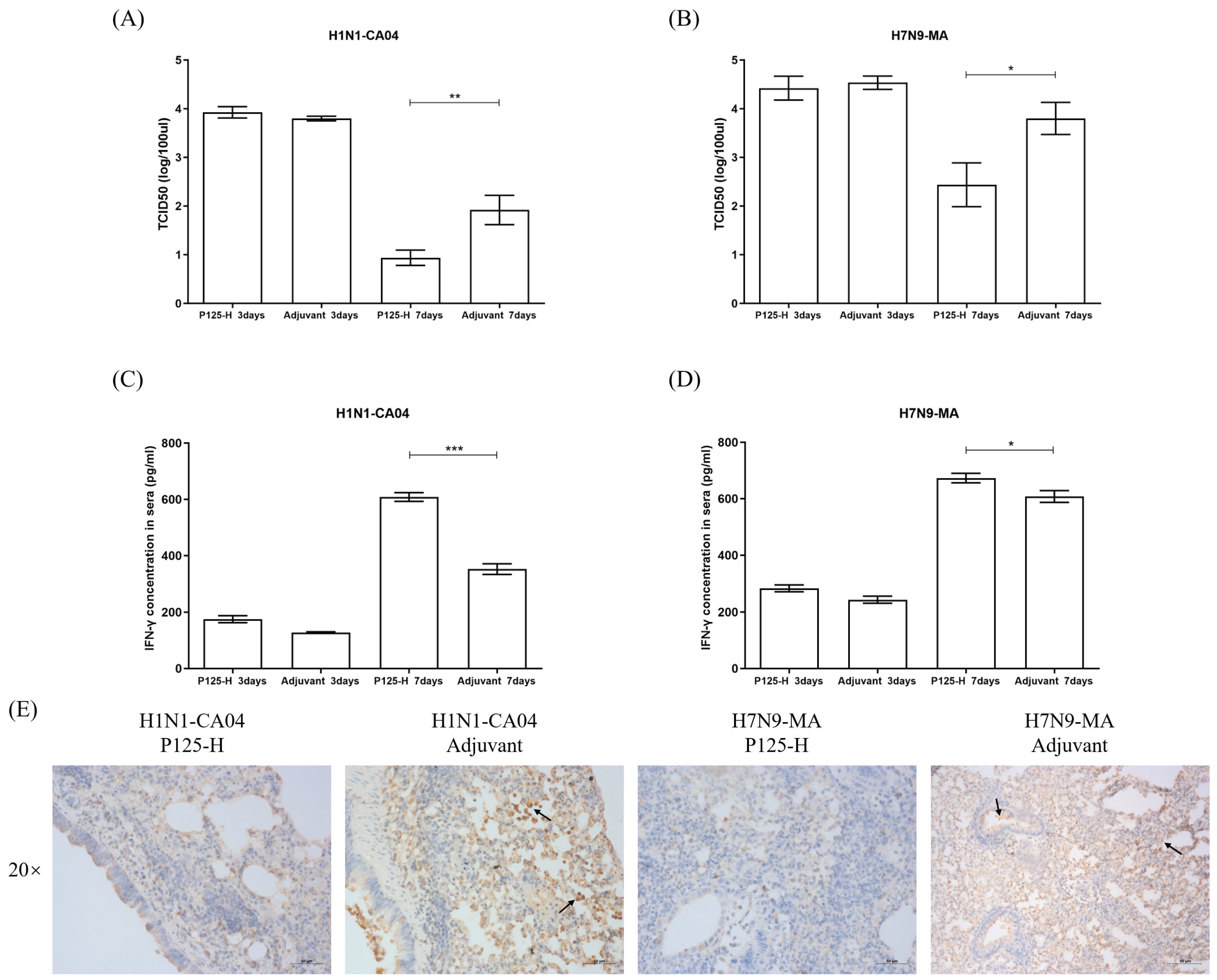 Vaccines 13 00081 g006