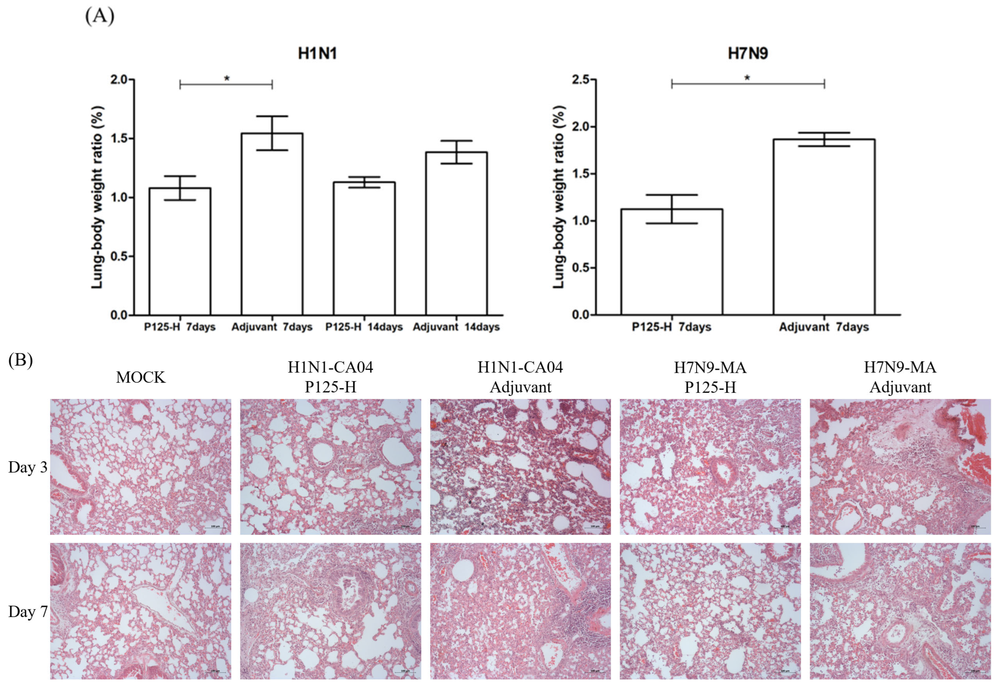 Vaccines 13 00081 g007