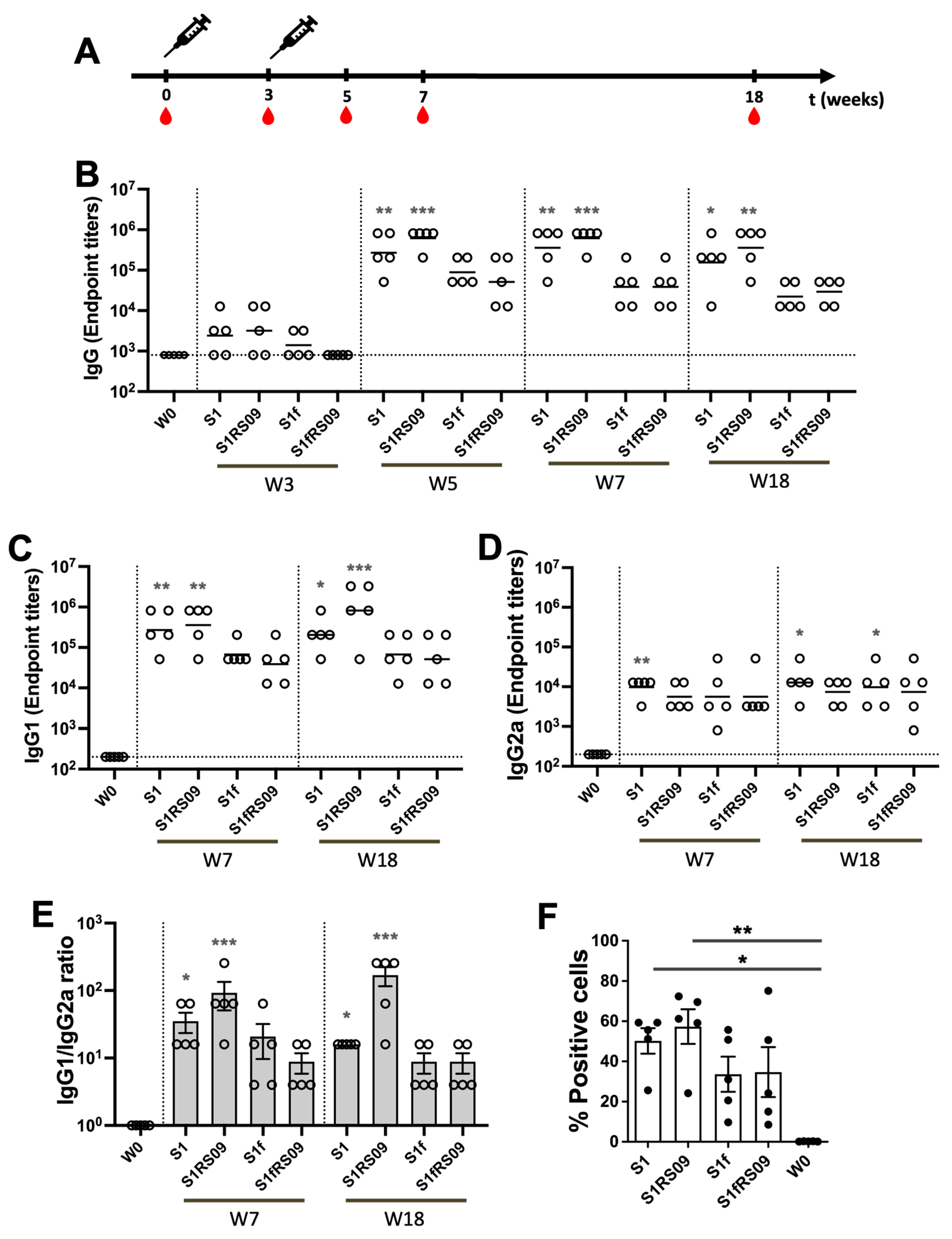 Vaccines 13 00086 g002