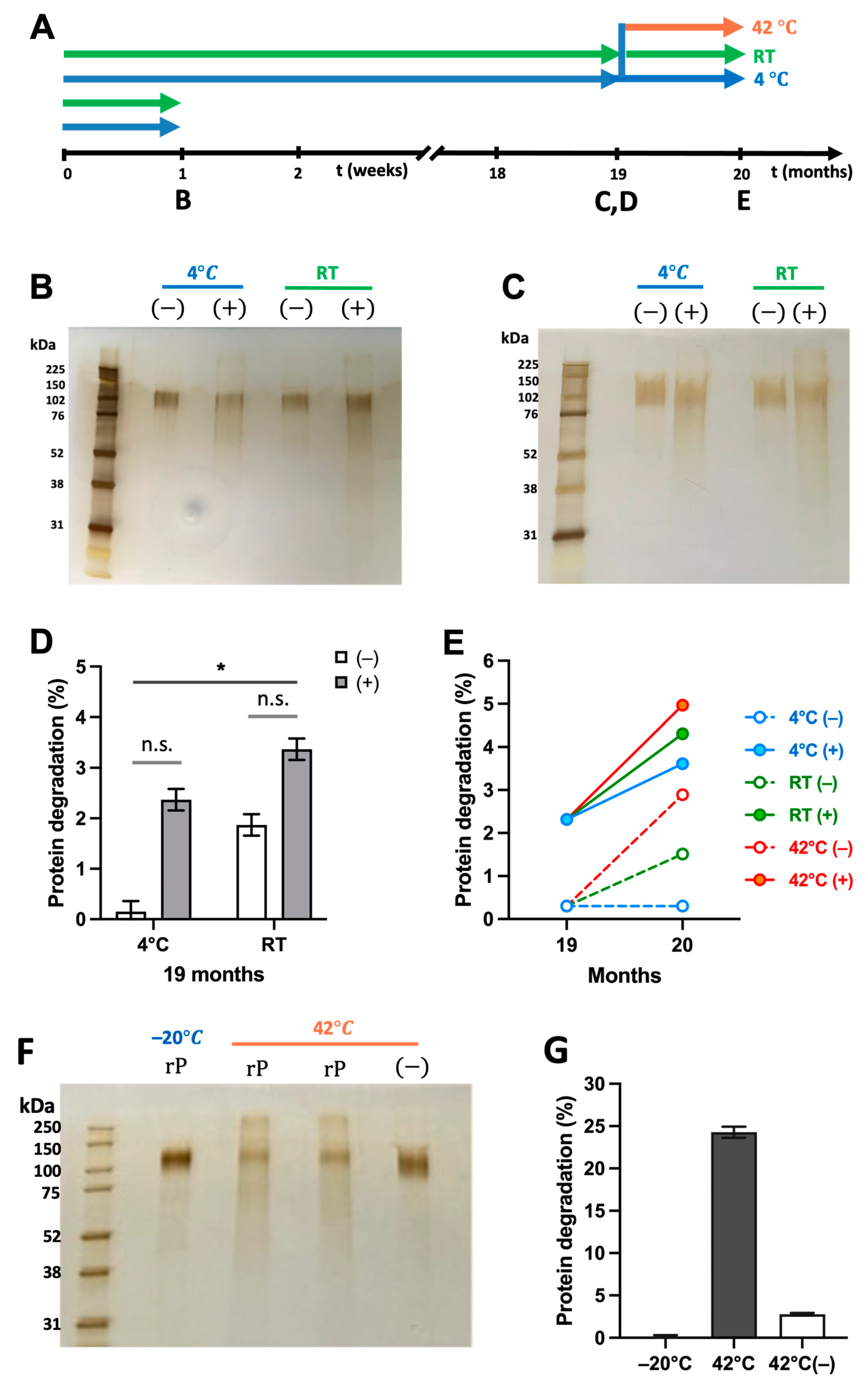 Vaccines 13 00086 g009