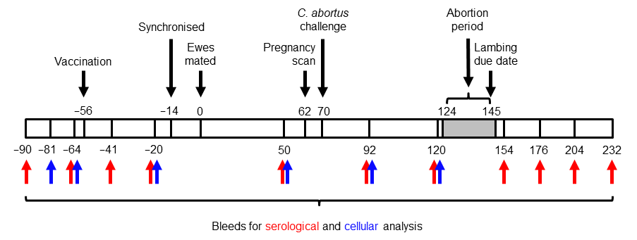 Vaccines 13 00089 g001 Vaccines 13 00089 g001
