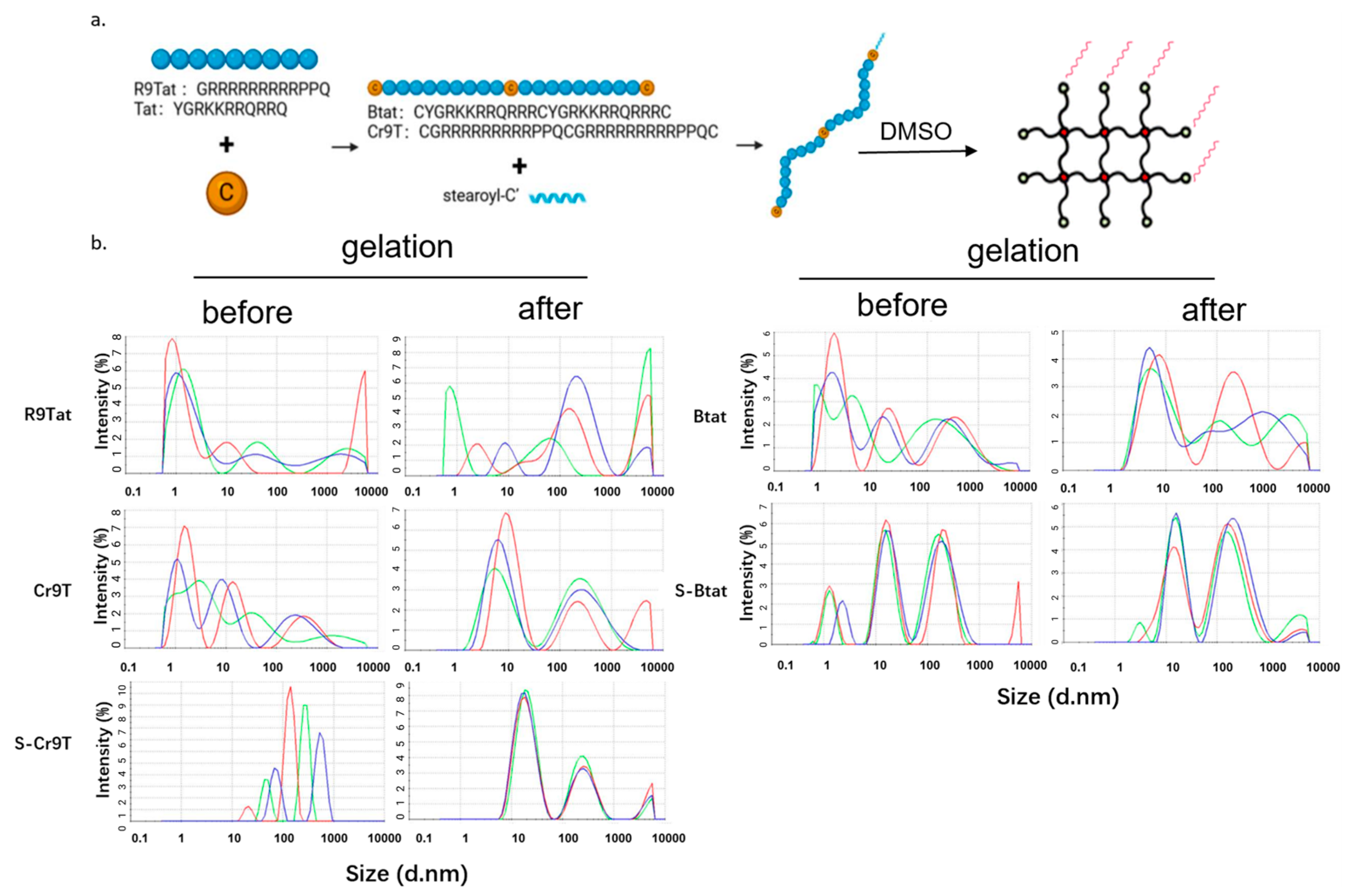 Vaccines 13 00094 g001