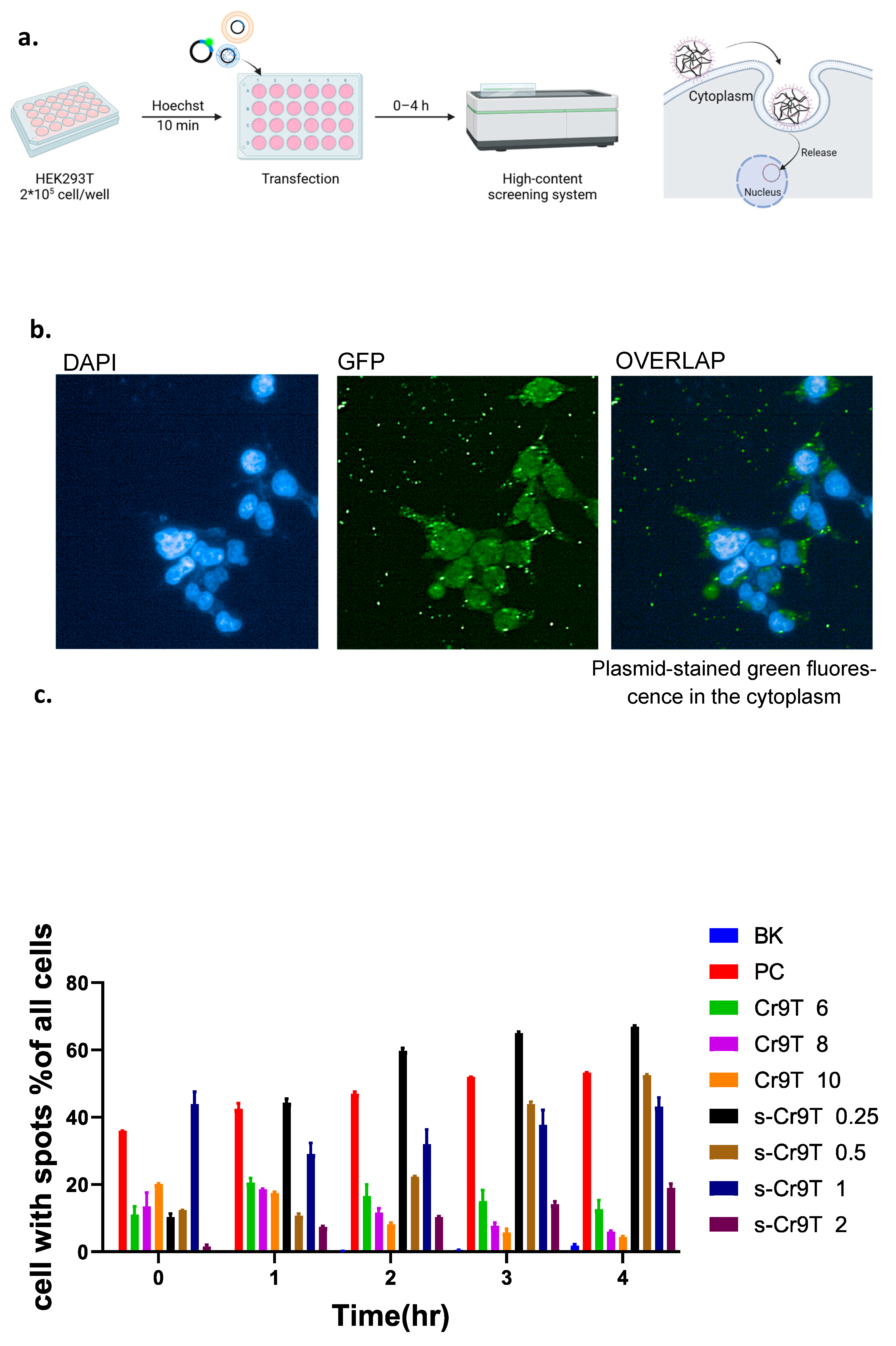 Vaccines 13 00094 g004a