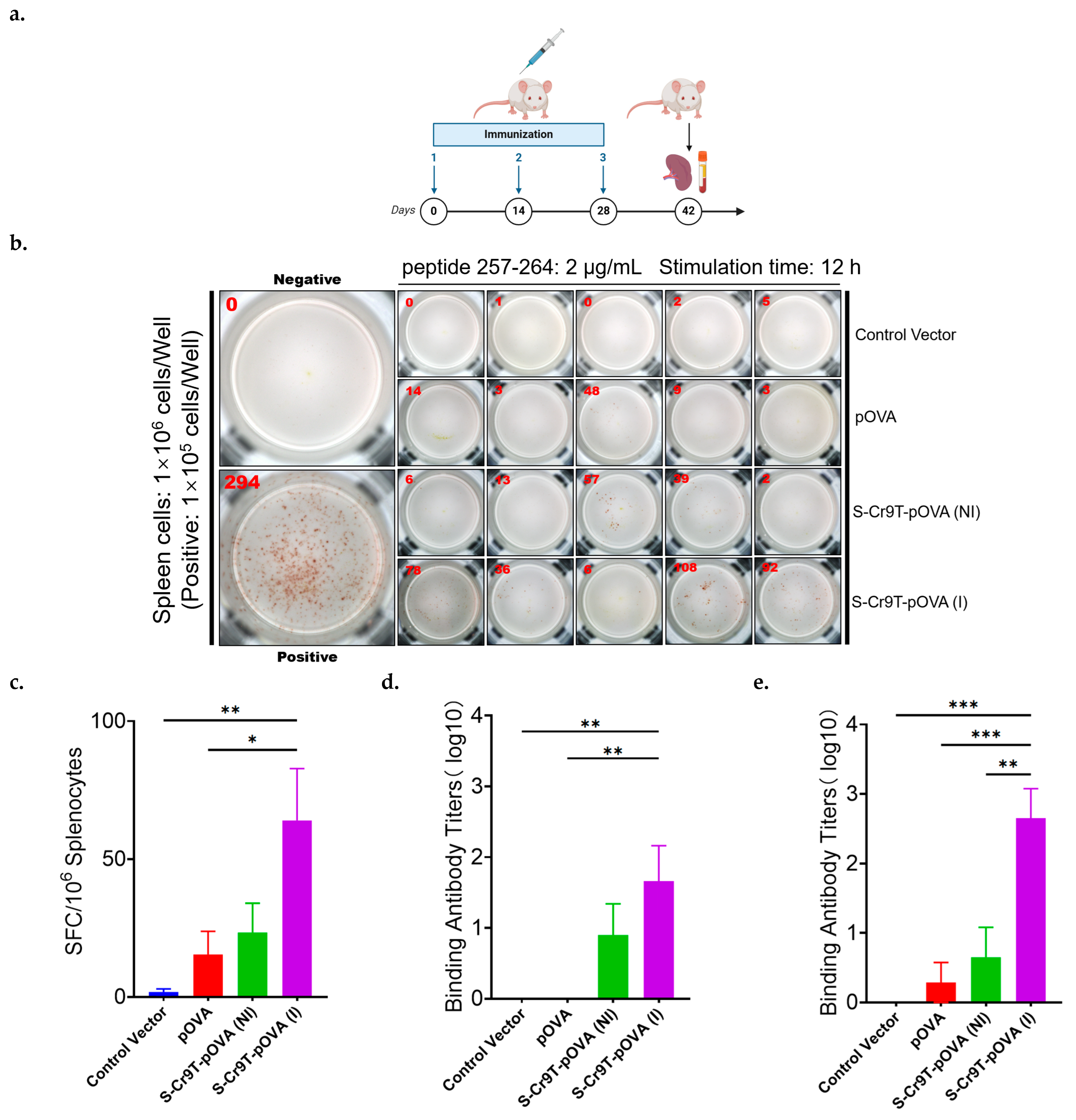 Vaccines 13 00094 g006