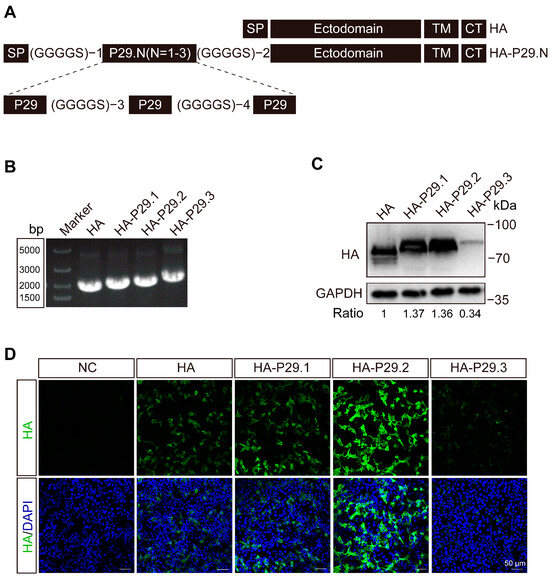 Vaccines 13 00099 g001