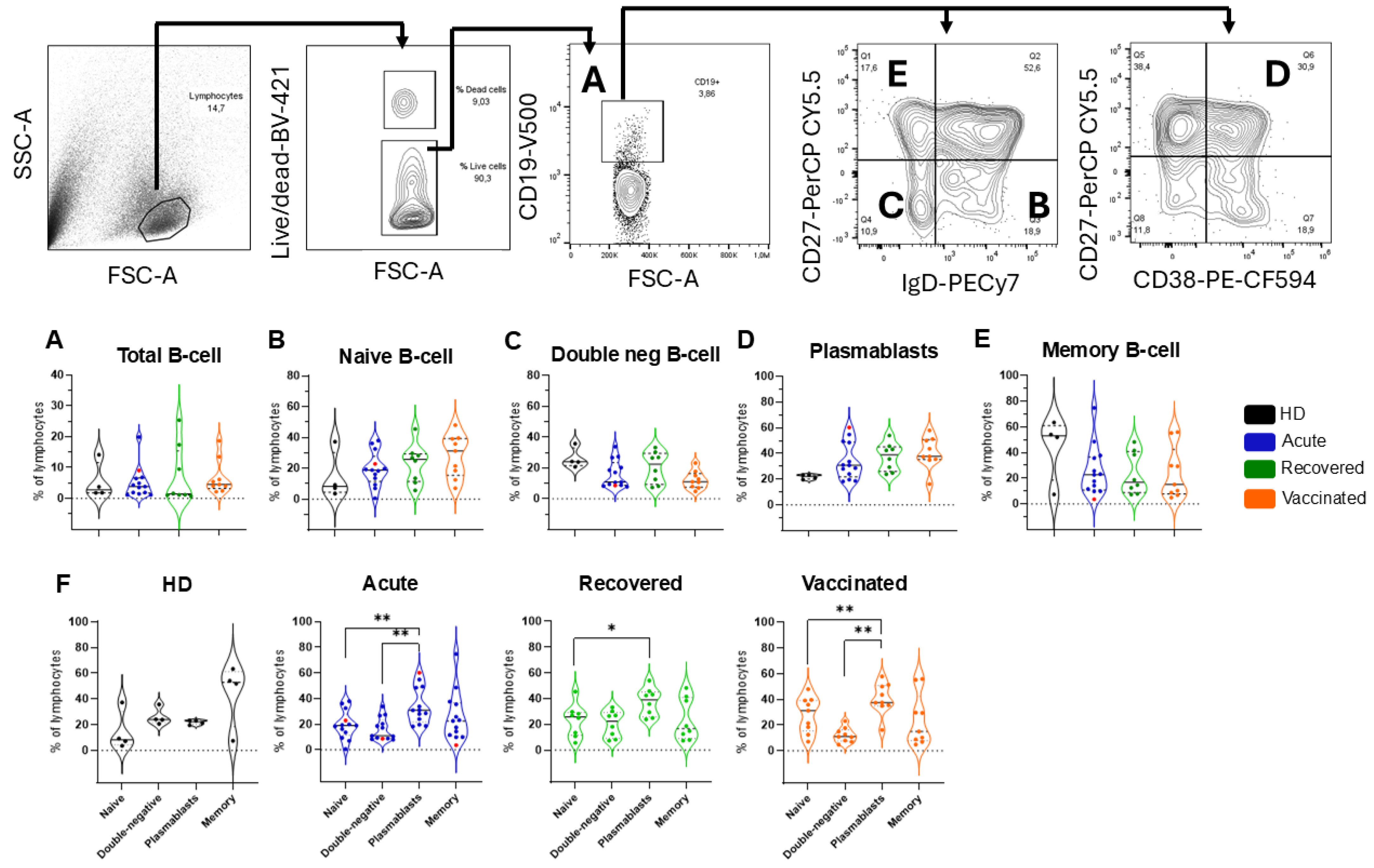 Vaccines 13 00101 g002