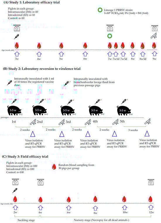 Vaccines 13 00102 g001