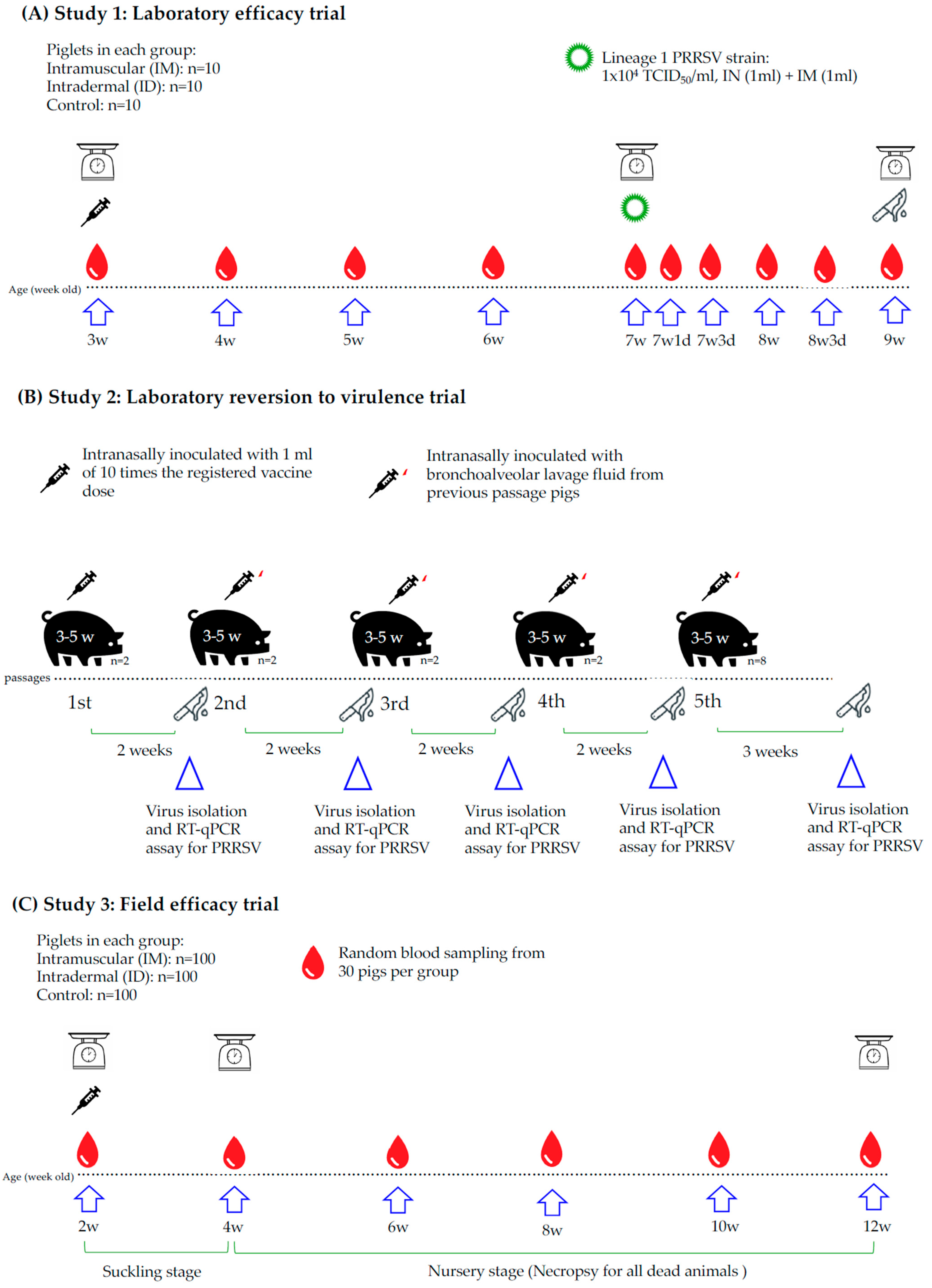 Vaccines 13 00102 g001 Vaccines 13 00102 g001