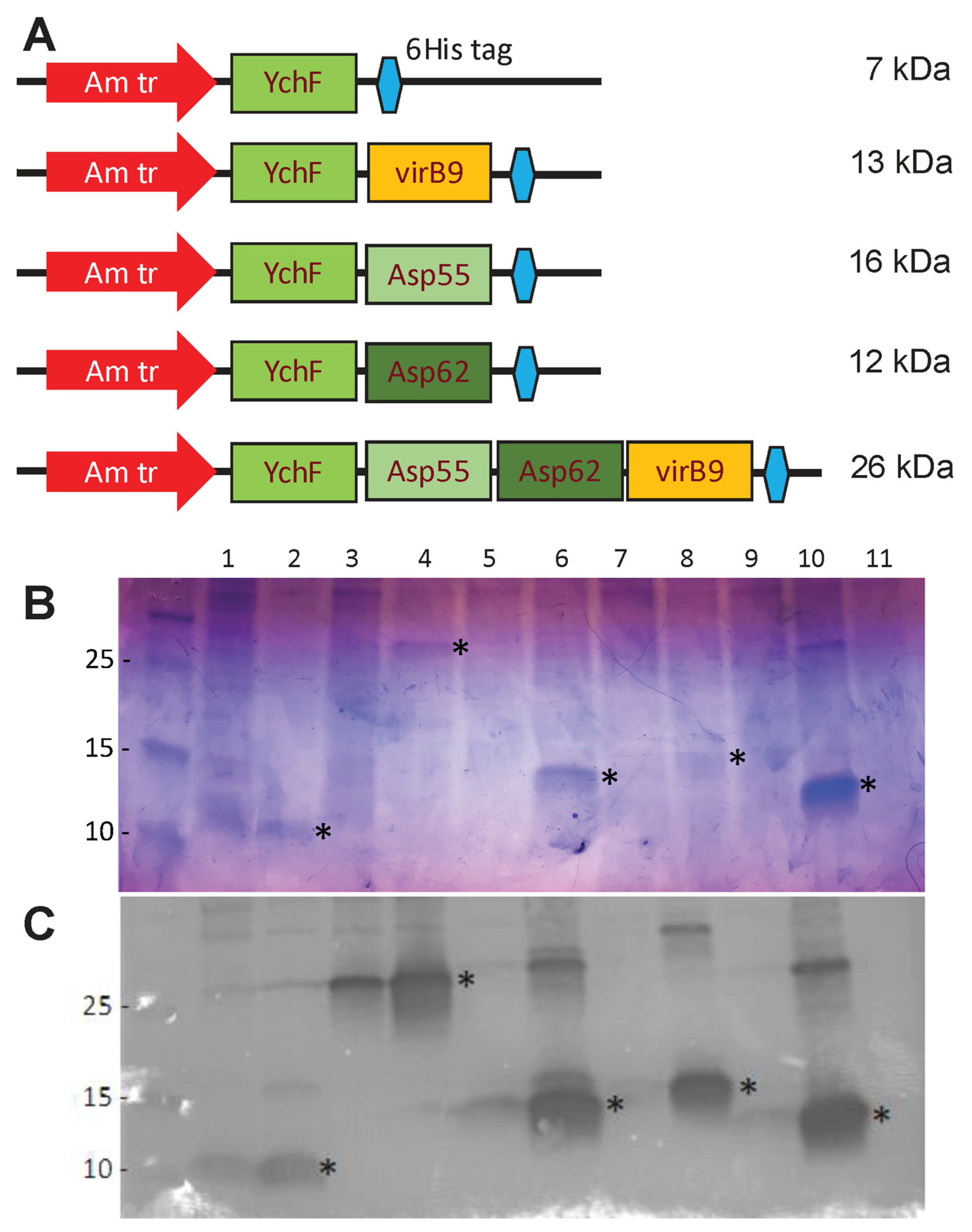 Vaccines 13 00109 g003