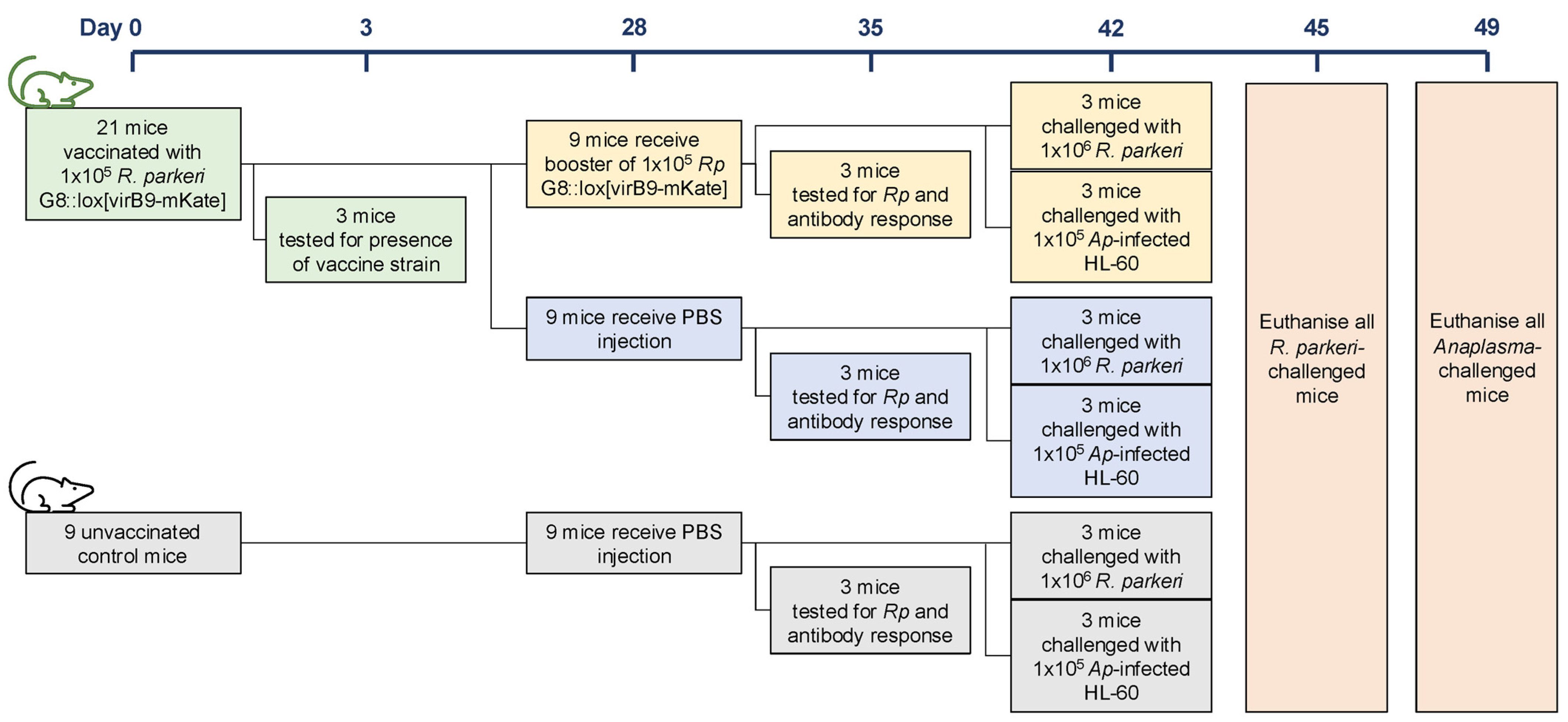 Vaccines 13 00109 g007