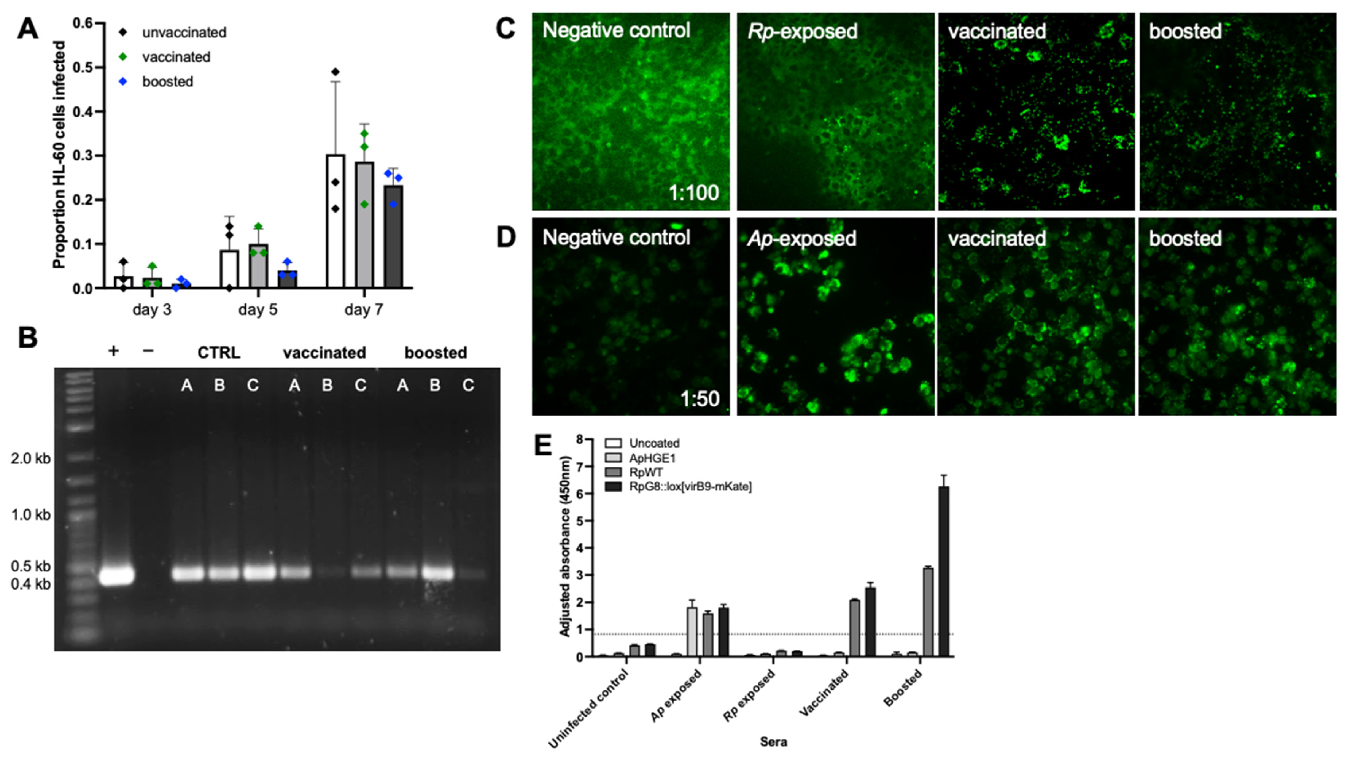 Vaccines 13 00109 g010