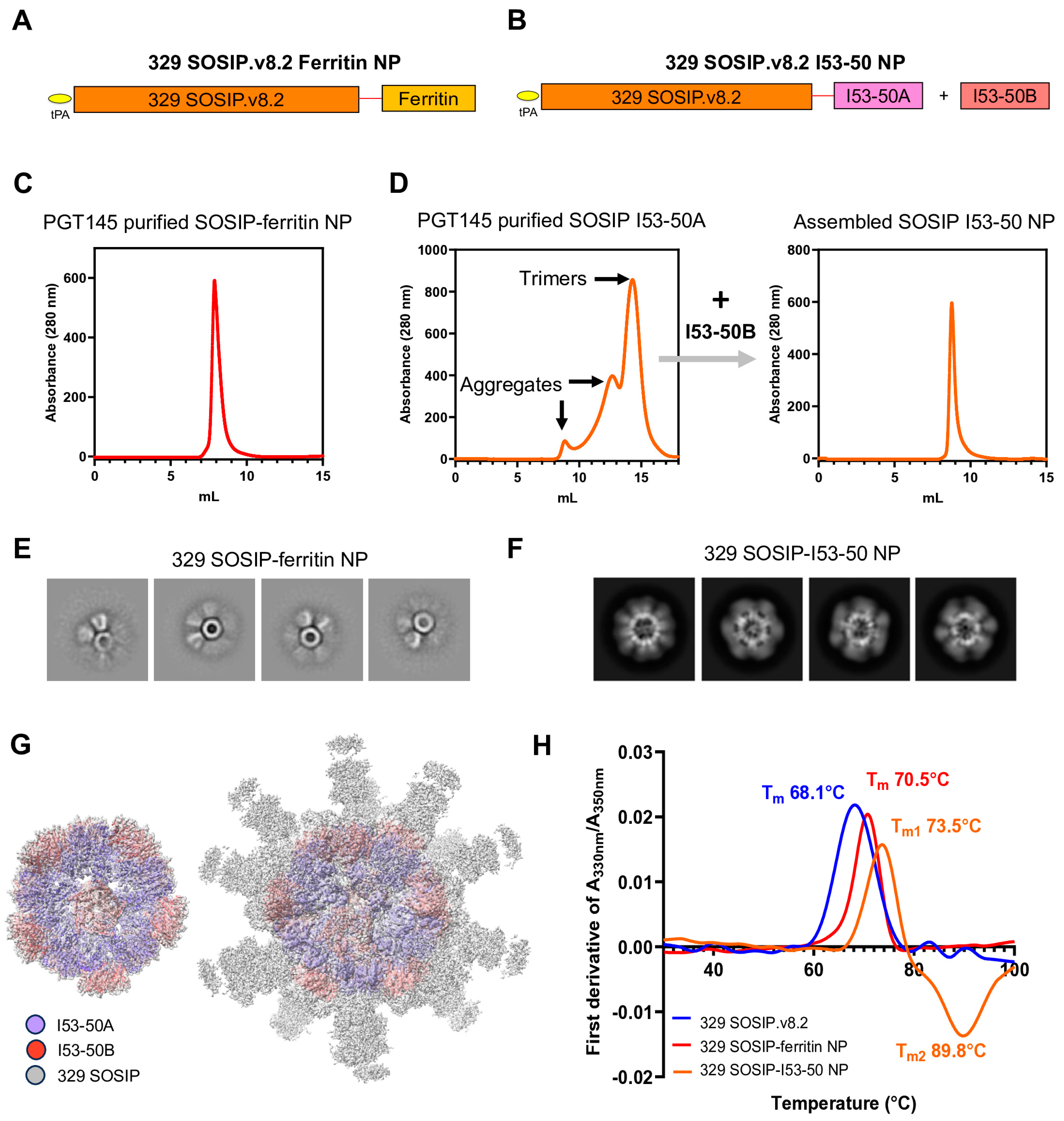 Vaccines 13 00110 g002