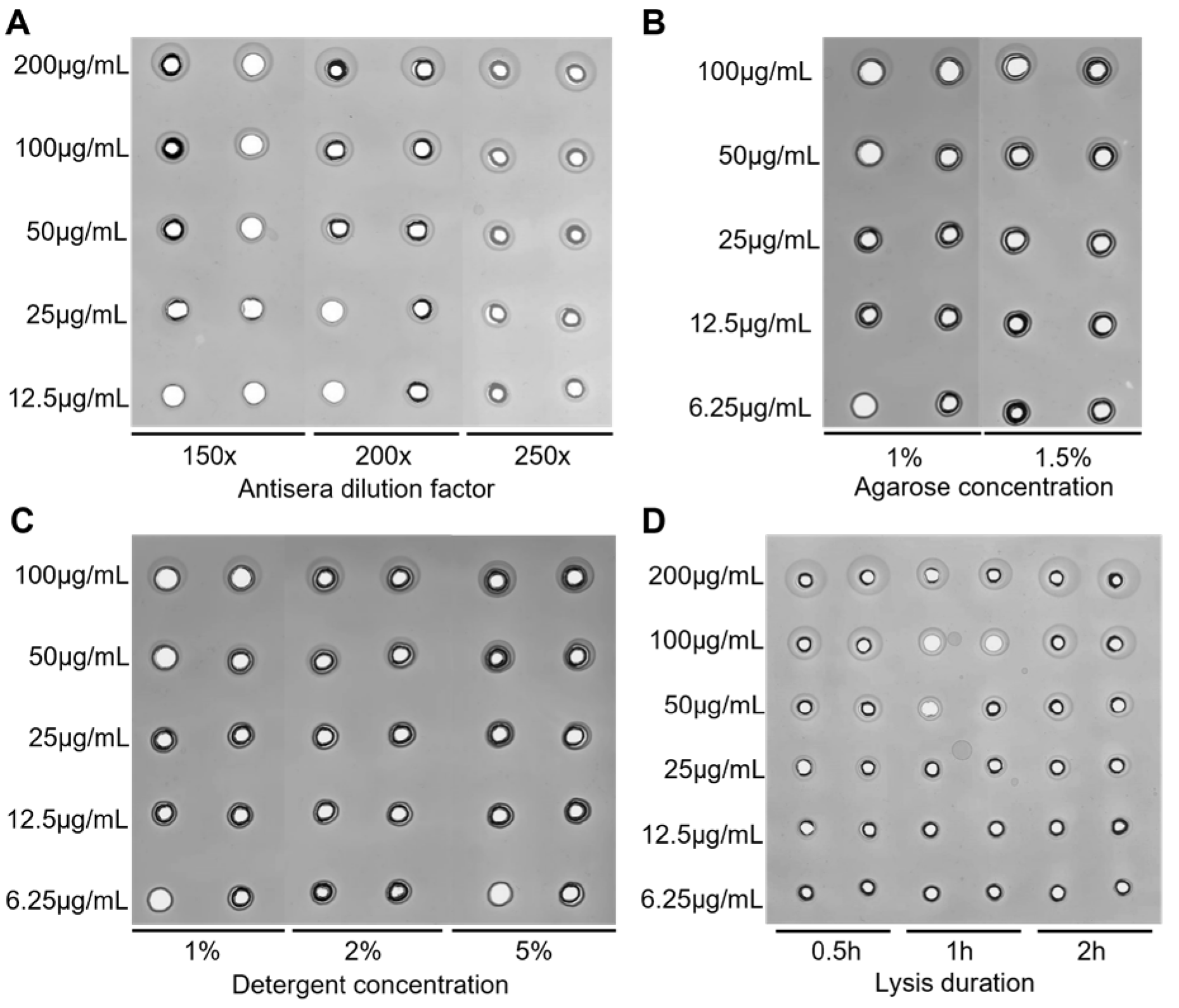 Vaccines 13 00116 g001