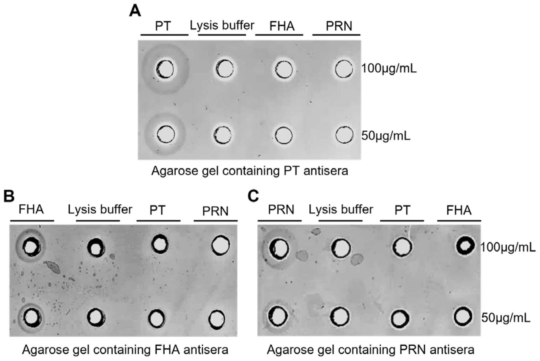 Vaccines 13 00116 g003
