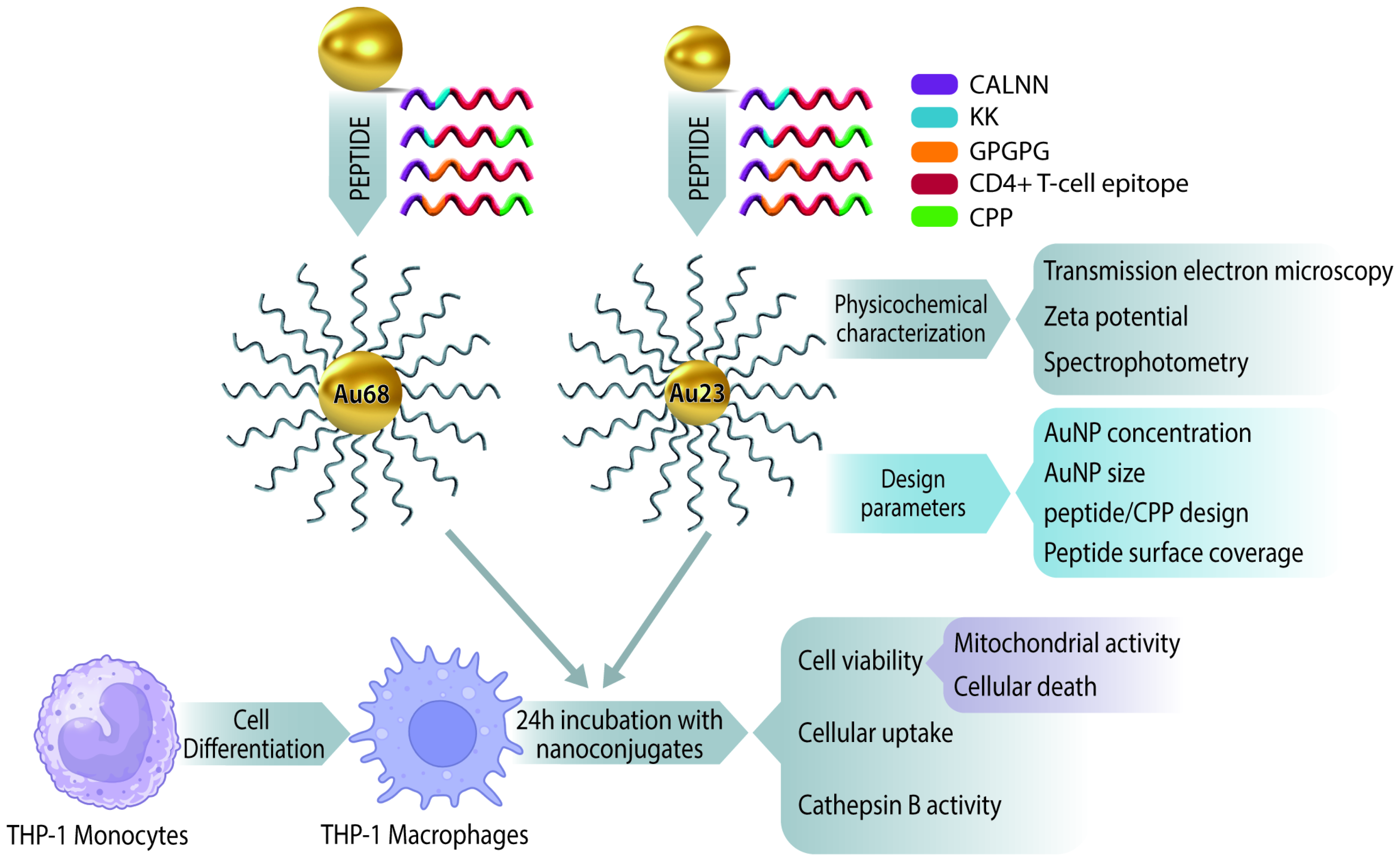 Vaccines 13 00119 g001