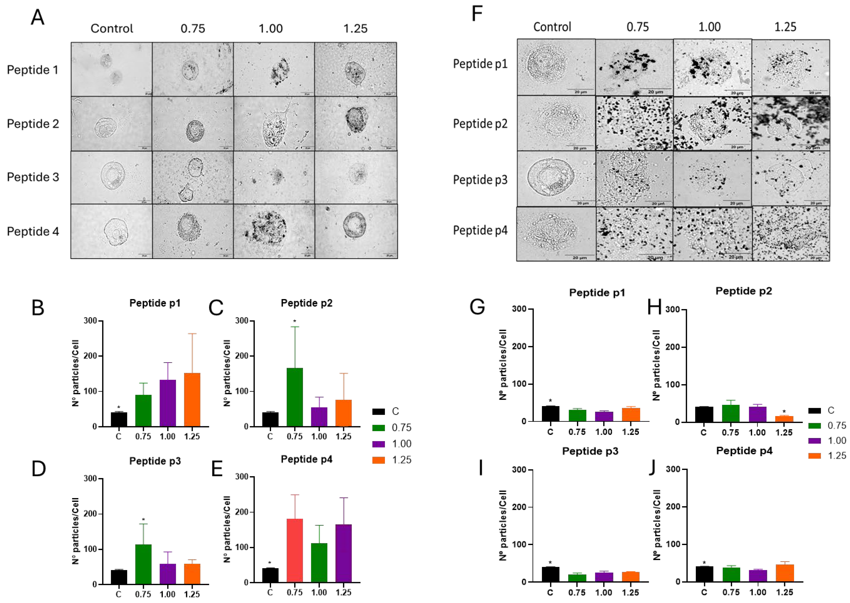 Vaccines 13 00119 g007