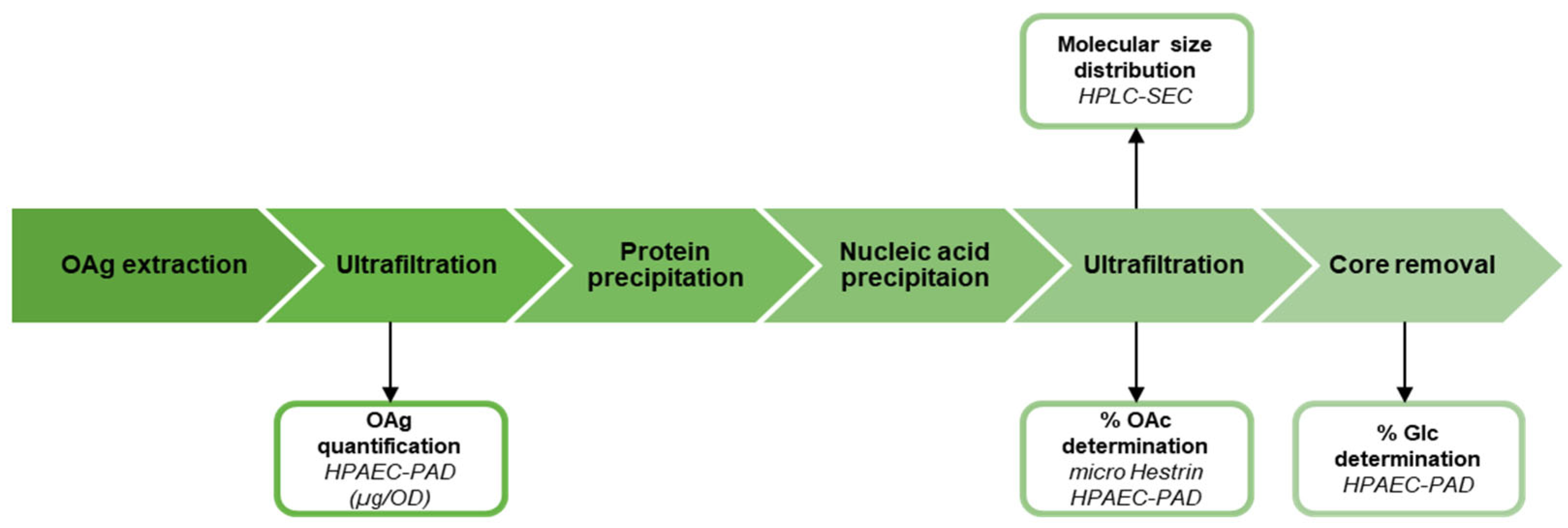 Vaccines 13 00122 sch001